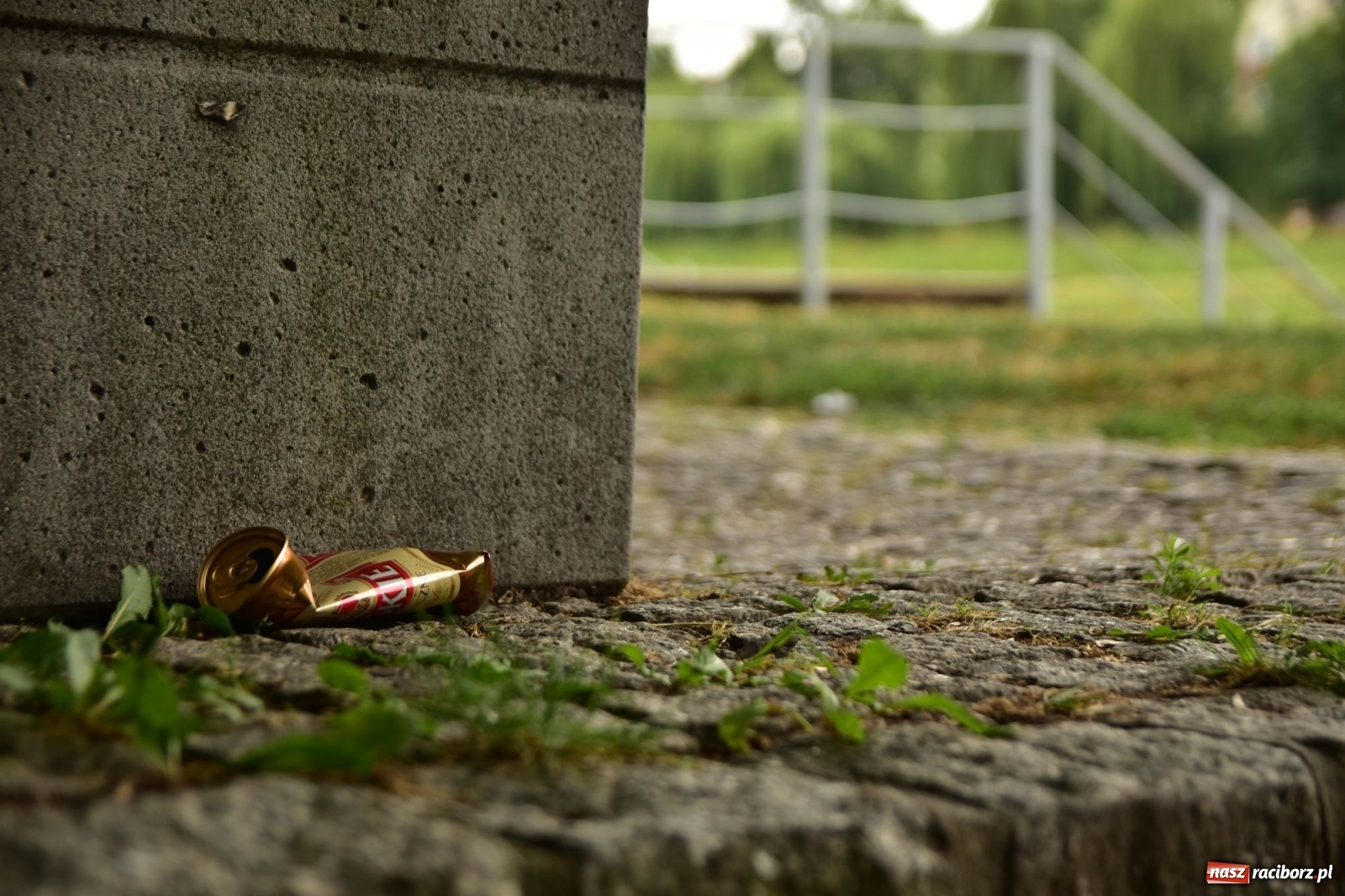 Zdjęcie w galerii na portalu naszraciborz.pl: Uwolnić bulwary dla raciborzan, czyli z butelką piwa albo wina nad Odrę? SONDA wiadomości z regionu