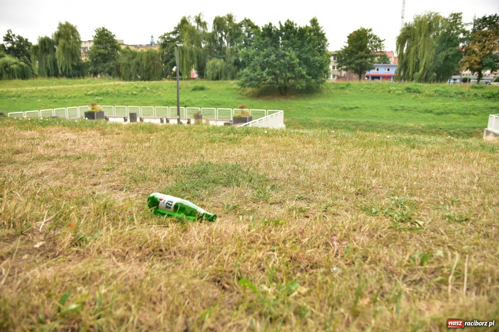 Zdjęcie w galerii na portalu naszraciborz.pl: Uwolnić bulwary dla raciborzan, czyli z butelką piwa albo wina nad Odrę? SONDA wiadomości z regionu