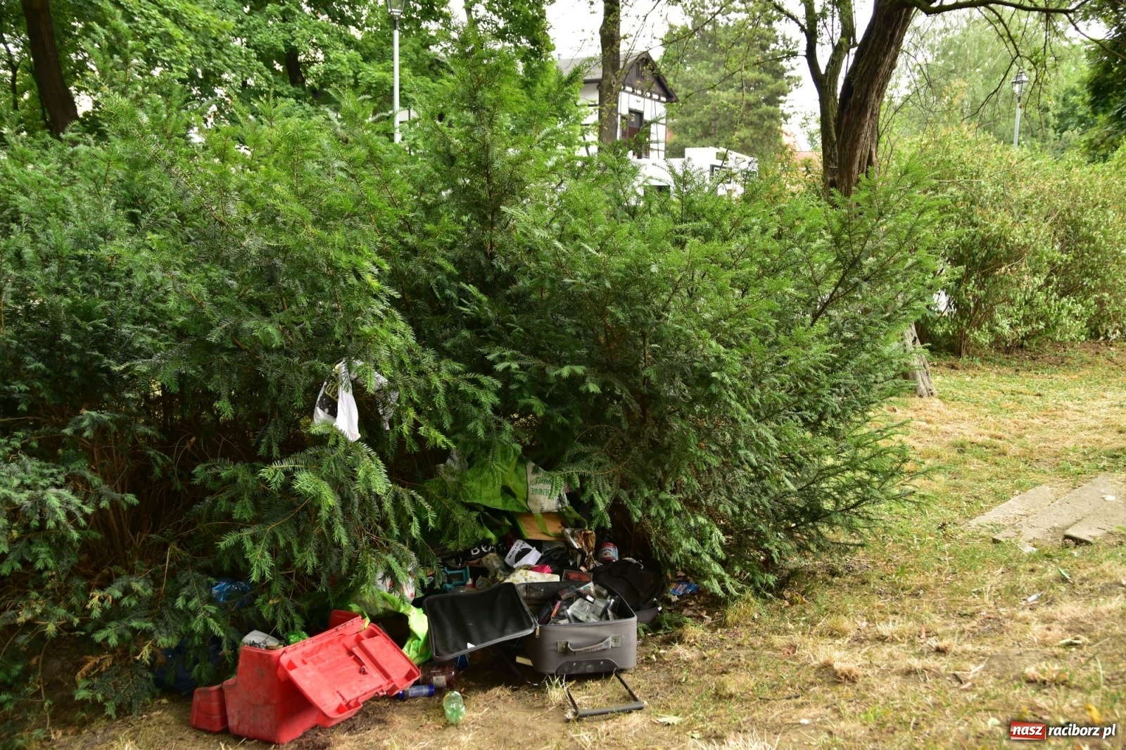 Zdjęcie w galerii na portalu naszraciborz.pl: Uwolnić bulwary dla raciborzan, czyli z butelką piwa albo wina nad Odrę? SONDA wiadomości z regionu