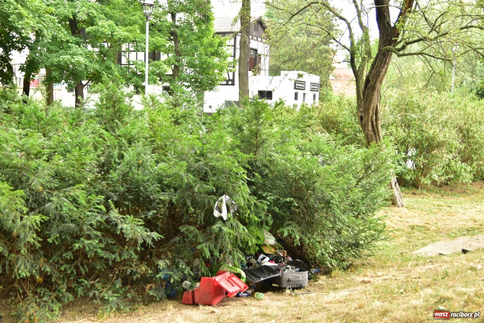 Zdjęcie w galerii na portalu naszraciborz.pl: Uwolnić bulwary dla raciborzan, czyli z butelką piwa albo wina nad Odrę? SONDA wiadomości z regionu