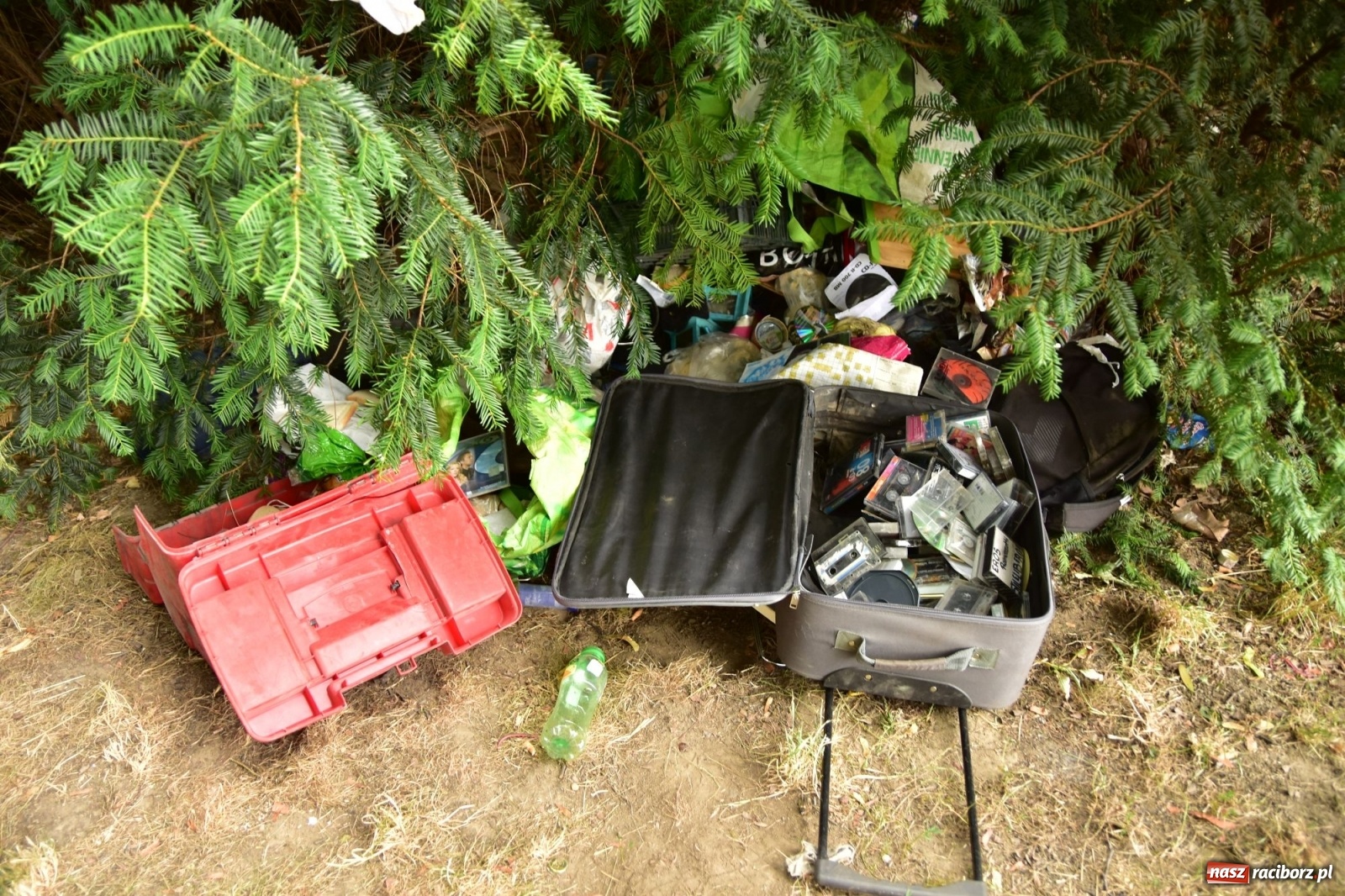 Zdjęcie w galerii na portalu naszraciborz.pl: Uwolnić bulwary dla raciborzan, czyli z butelką piwa albo wina nad Odrę? SONDA wiadomości z regionu