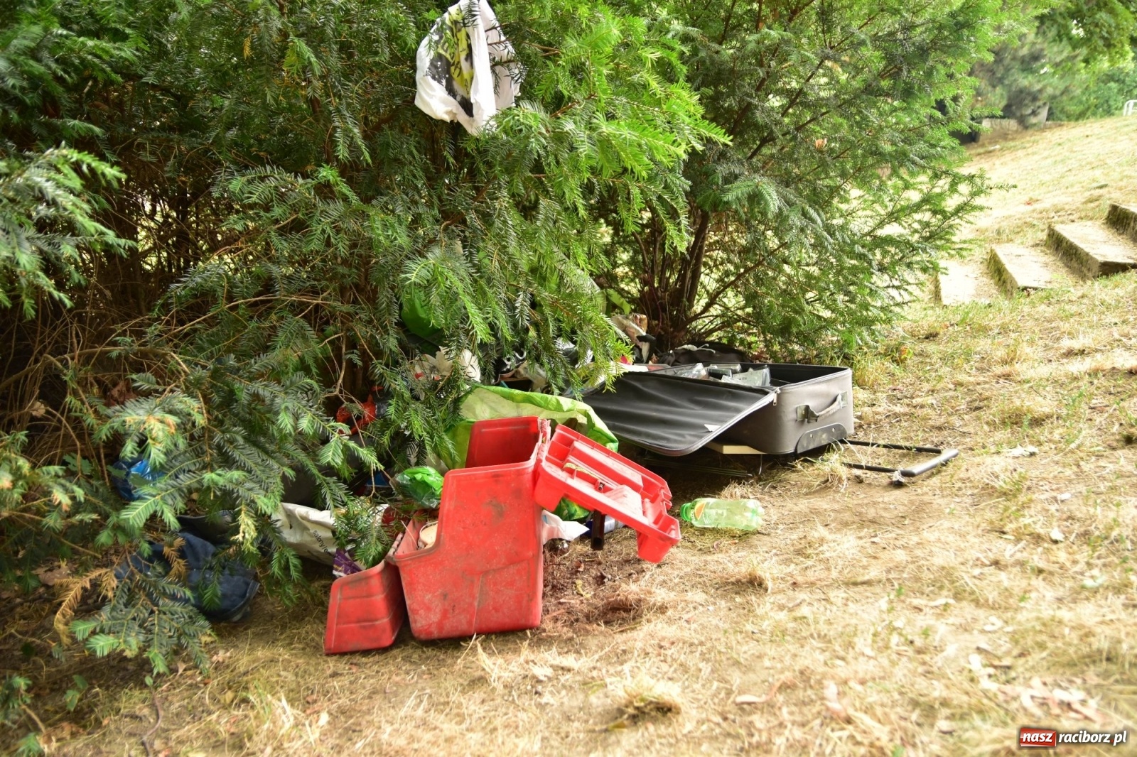 Zdjęcie w galerii na portalu naszraciborz.pl: Uwolnić bulwary dla raciborzan, czyli z butelką piwa albo wina nad Odrę? SONDA wiadomości z regionu
