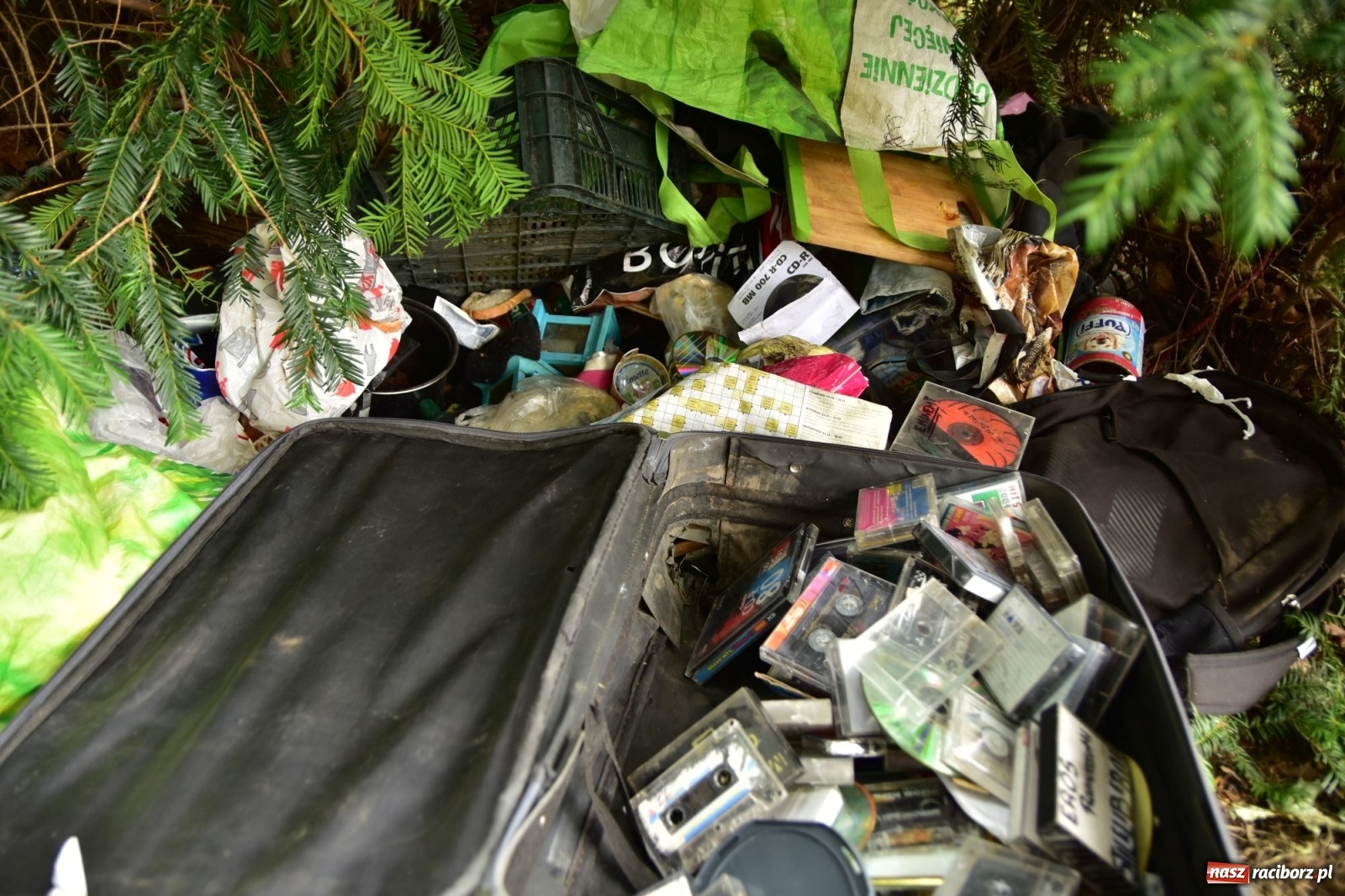 Zdjęcie w galerii na portalu naszraciborz.pl: Uwolnić bulwary dla raciborzan, czyli z butelką piwa albo wina nad Odrę? SONDA wiadomości z regionu