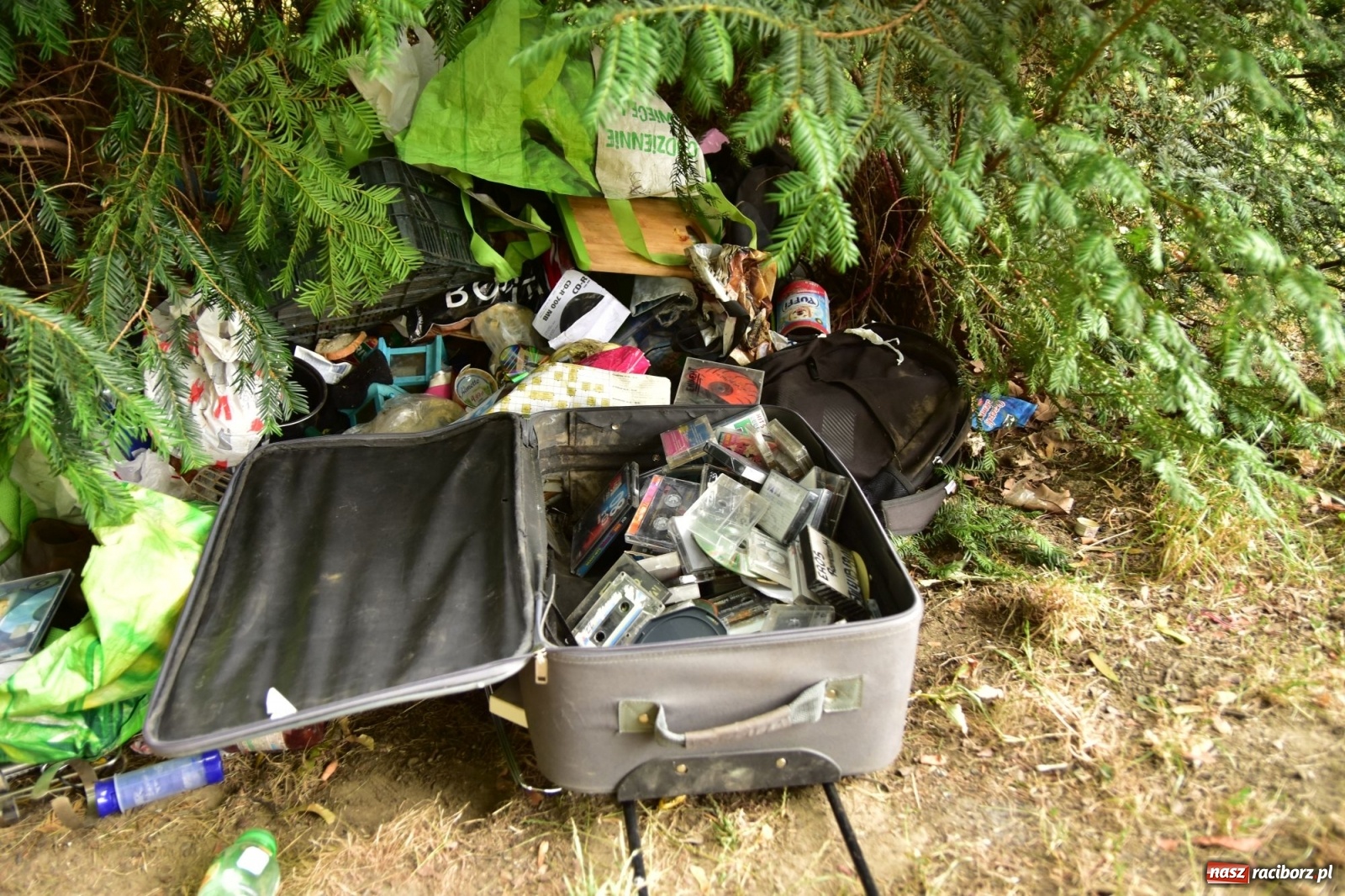 Zdjęcie w galerii na portalu naszraciborz.pl: Uwolnić bulwary dla raciborzan, czyli z butelką piwa albo wina nad Odrę? SONDA wiadomości z regionu