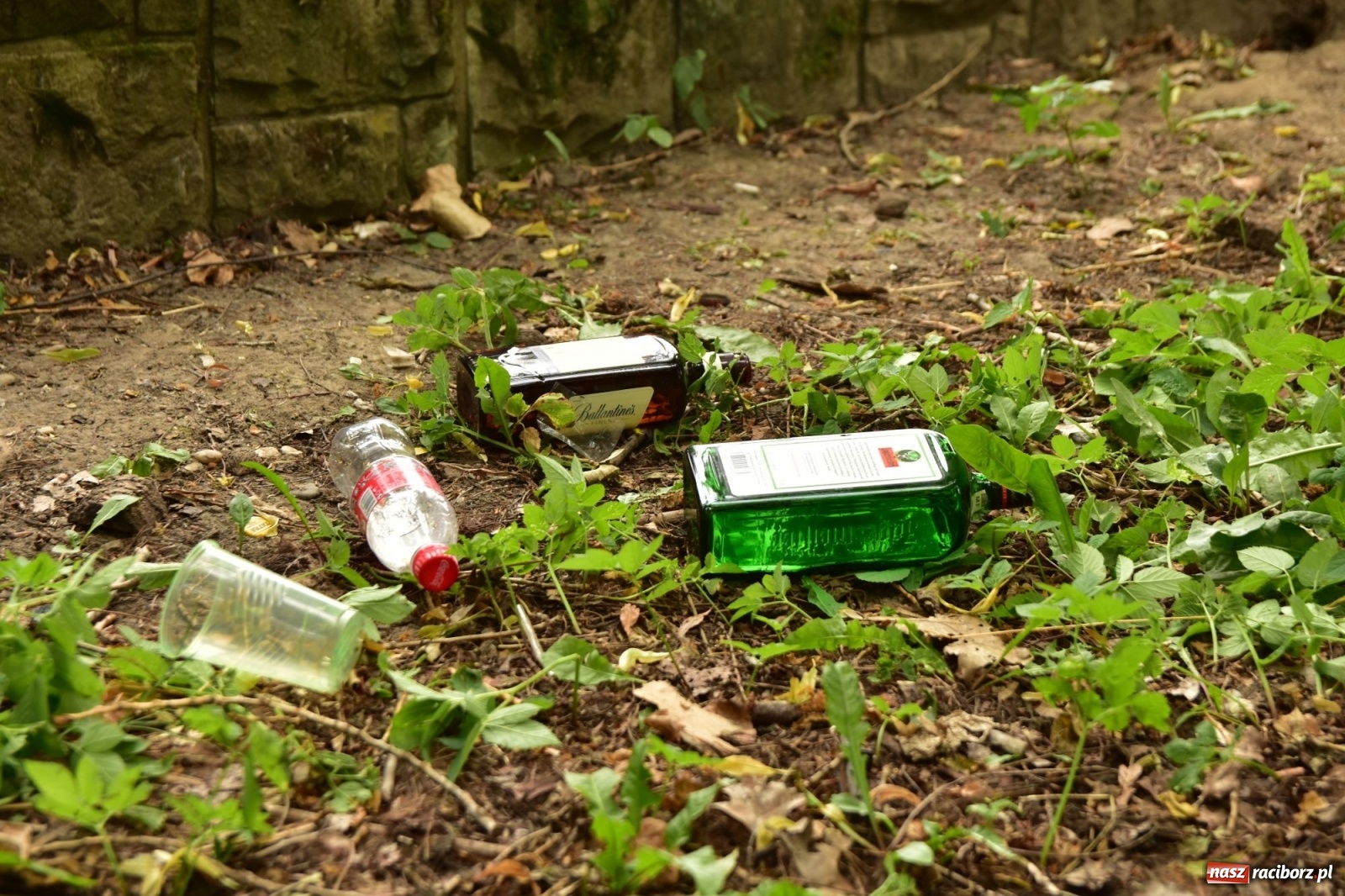 Zdjęcie w galerii na portalu naszraciborz.pl: Uwolnić bulwary dla raciborzan, czyli z butelką piwa albo wina nad Odrę? SONDA wiadomości z regionu