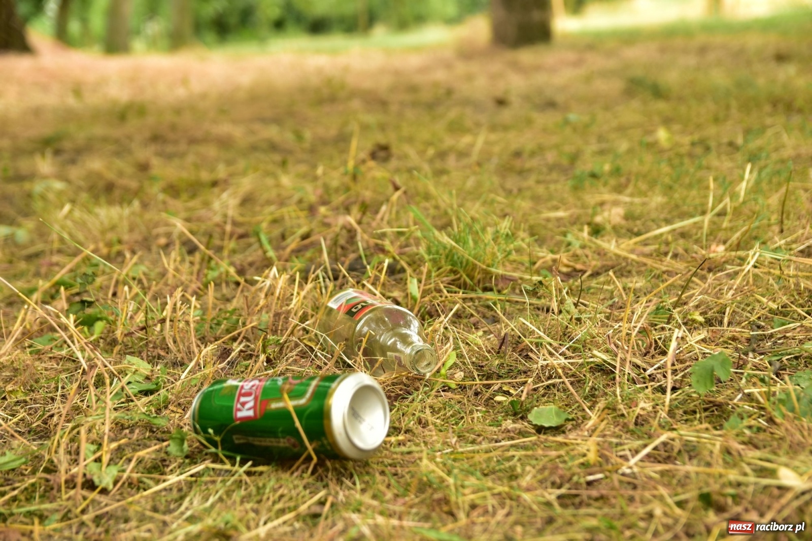 Zdjęcie w galerii na portalu naszraciborz.pl: Uwolnić bulwary dla raciborzan, czyli z butelką piwa albo wina nad Odrę? SONDA wiadomości z regionu