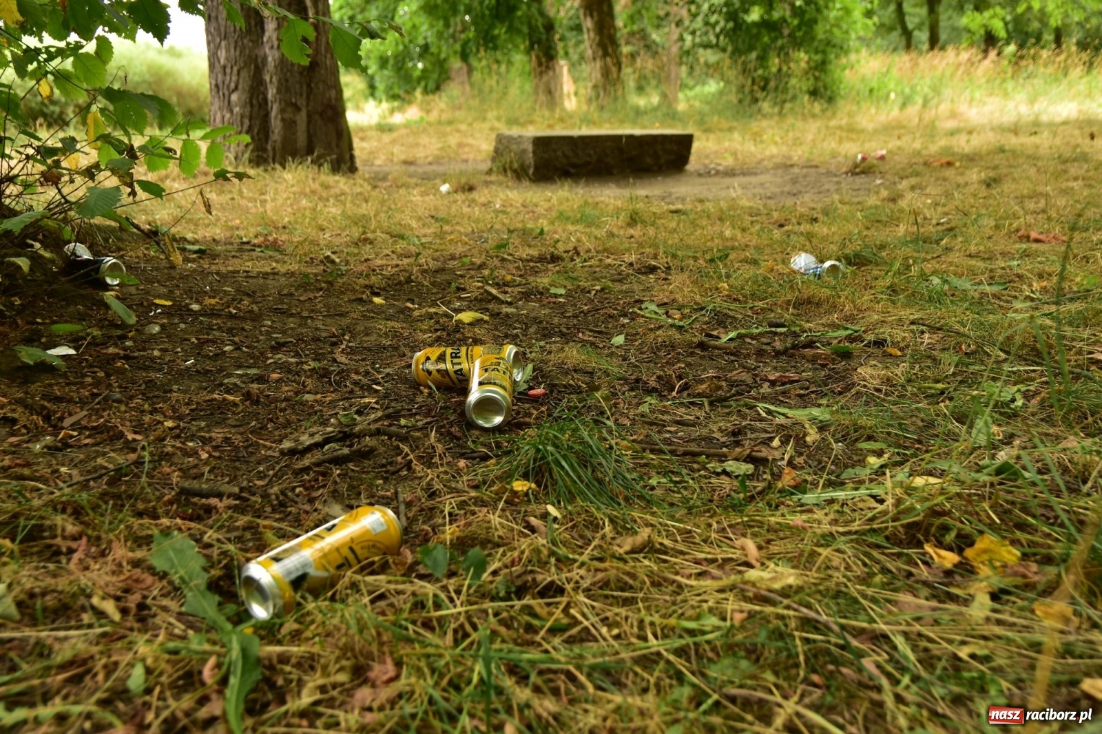 Zdjęcie w galerii na portalu naszraciborz.pl: Uwolnić bulwary dla raciborzan, czyli z butelką piwa albo wina nad Odrę? SONDA wiadomości z regionu