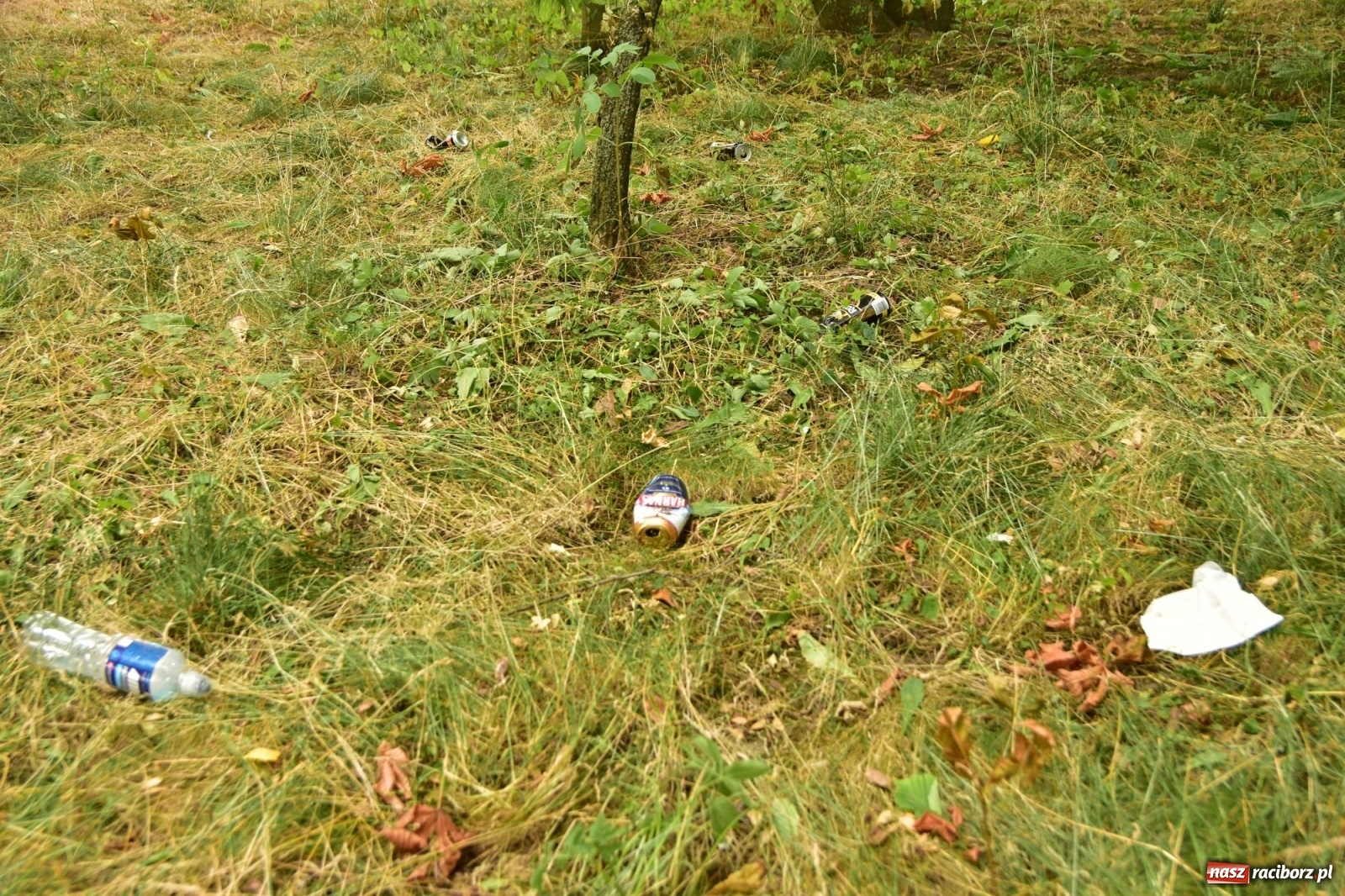 Zdjęcie w galerii na portalu naszraciborz.pl: Uwolnić bulwary dla raciborzan, czyli z butelką piwa albo wina nad Odrę? SONDA wiadomości z regionu