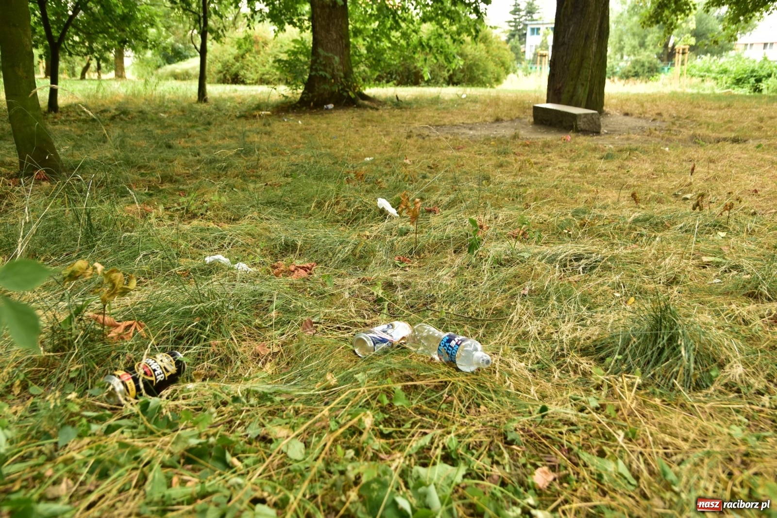 Zdjęcie w galerii na portalu naszraciborz.pl: Uwolnić bulwary dla raciborzan, czyli z butelką piwa albo wina nad Odrę? SONDA wiadomości z regionu