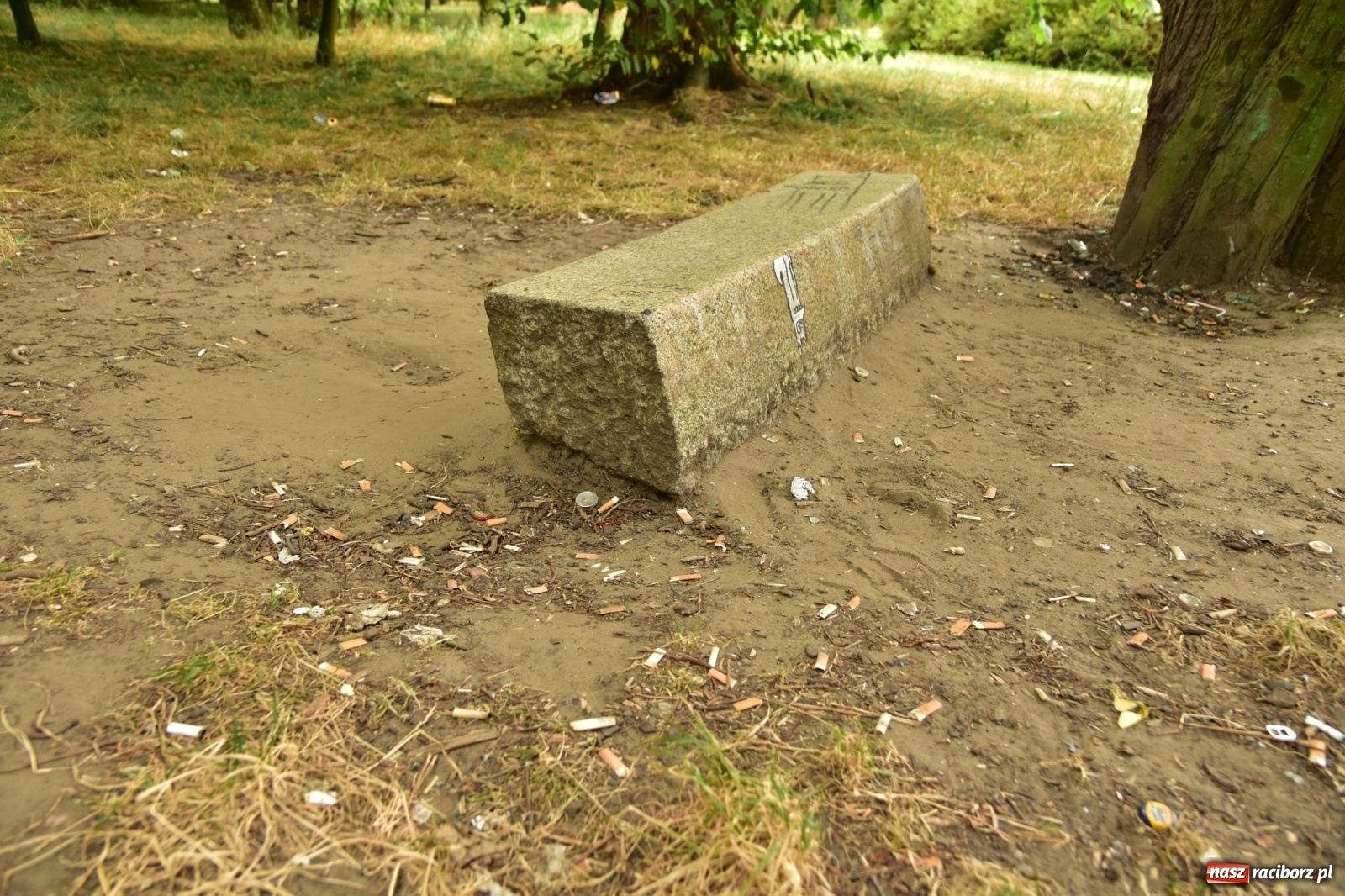 Zdjęcie w galerii na portalu naszraciborz.pl: Uwolnić bulwary dla raciborzan, czyli z butelką piwa albo wina nad Odrę? SONDA wiadomości z regionu