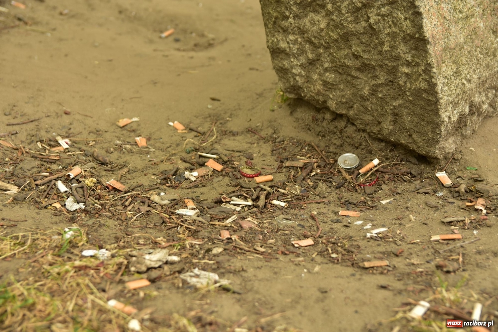 Zdjęcie w galerii na portalu naszraciborz.pl: Uwolnić bulwary dla raciborzan, czyli z butelką piwa albo wina nad Odrę? SONDA wiadomości z regionu