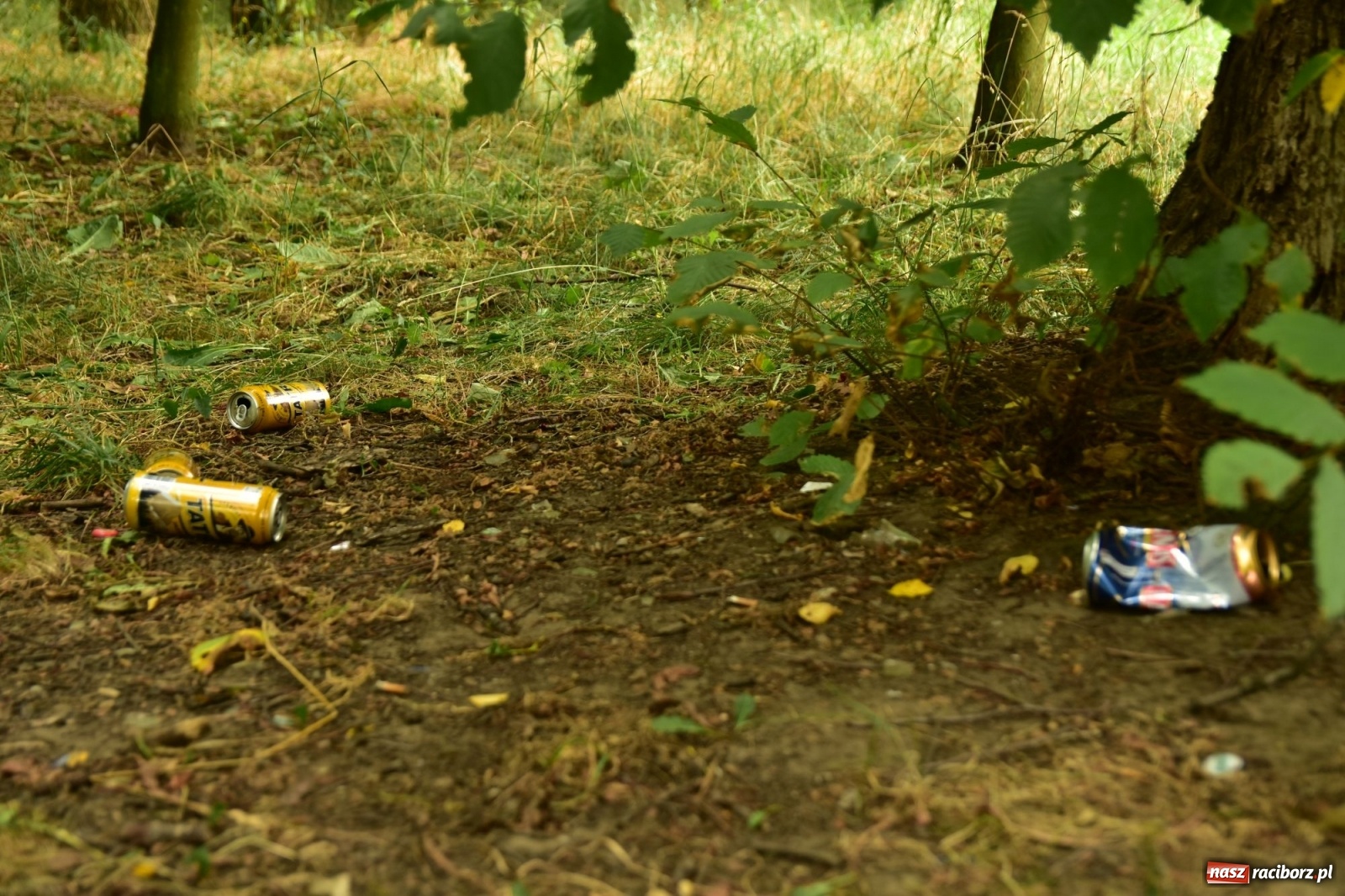 Zdjęcie w galerii na portalu naszraciborz.pl: Uwolnić bulwary dla raciborzan, czyli z butelką piwa albo wina nad Odrę? SONDA wiadomości z regionu