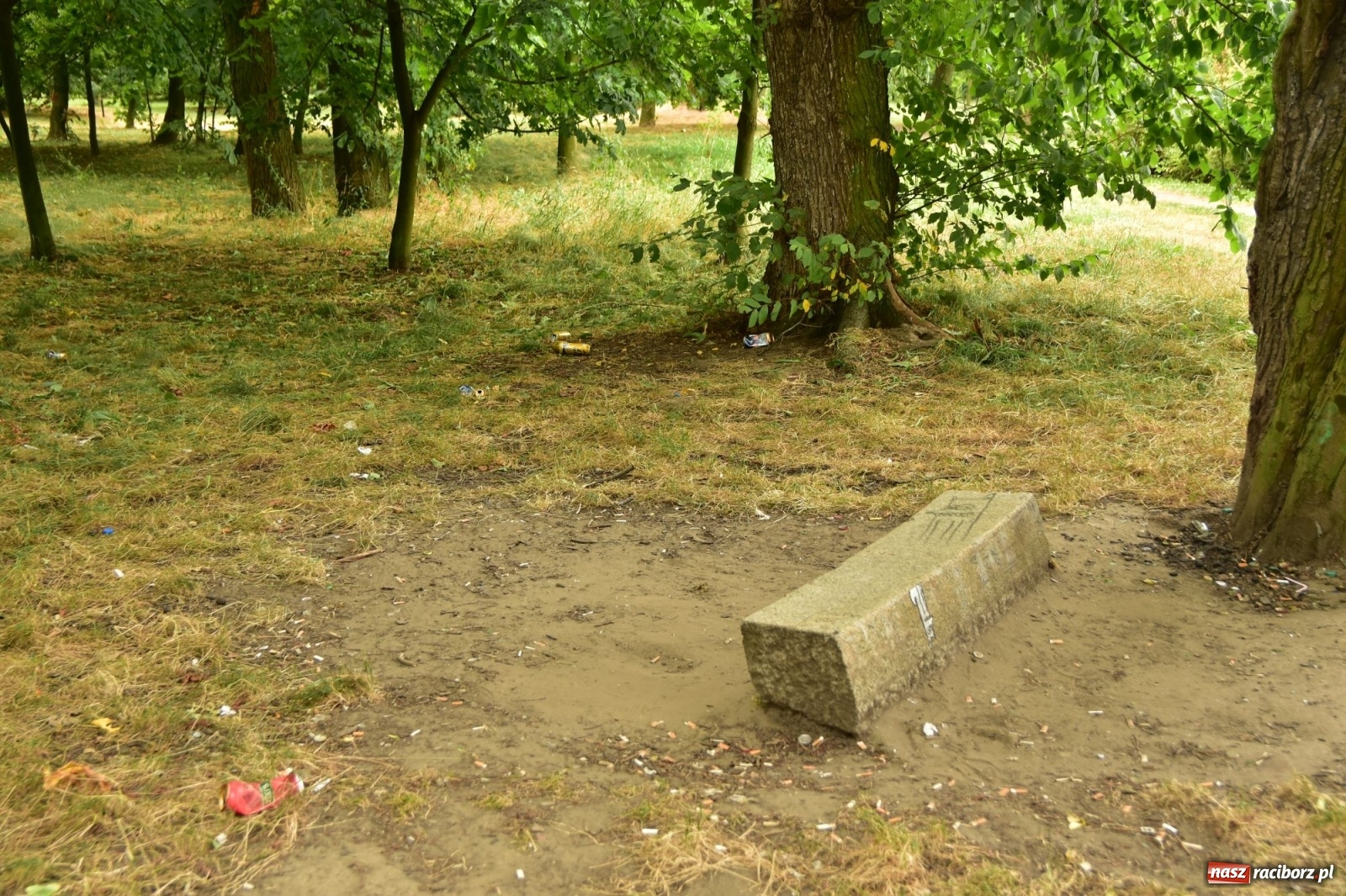 Zdjęcie w galerii na portalu naszraciborz.pl: Uwolnić bulwary dla raciborzan, czyli z butelką piwa albo wina nad Odrę? SONDA wiadomości z regionu