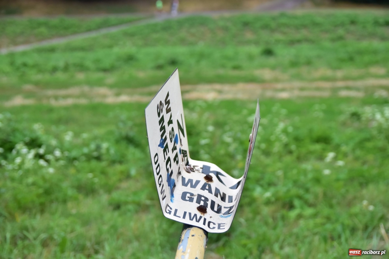 Zdjęcie w galerii na portalu naszraciborz.pl: Uwolnić bulwary dla raciborzan, czyli z butelką piwa albo wina nad Odrę? SONDA wiadomości z regionu