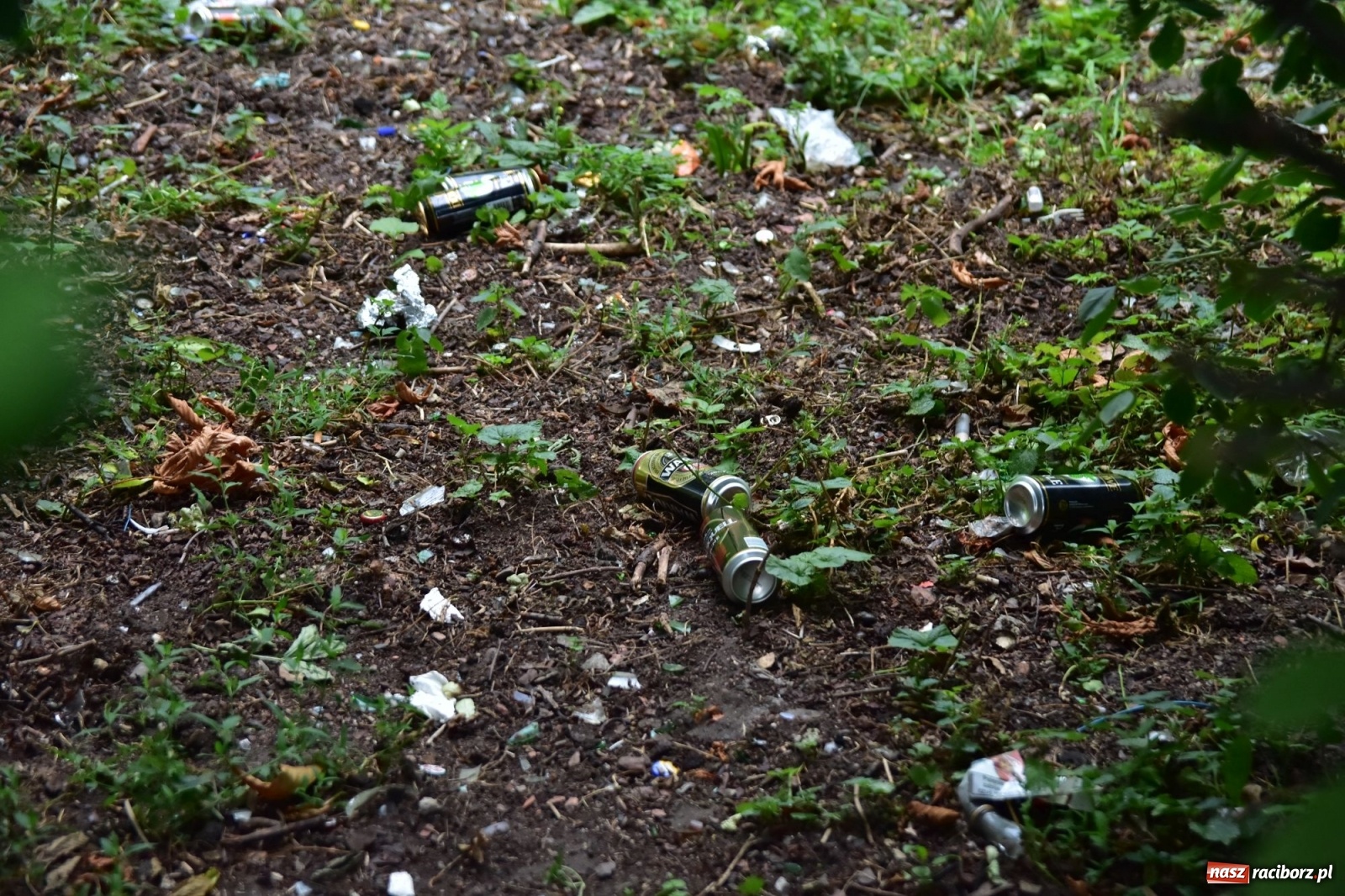 Zdjęcie w galerii na portalu naszraciborz.pl: Uwolnić bulwary dla raciborzan, czyli z butelką piwa albo wina nad Odrę? SONDA wiadomości z regionu
