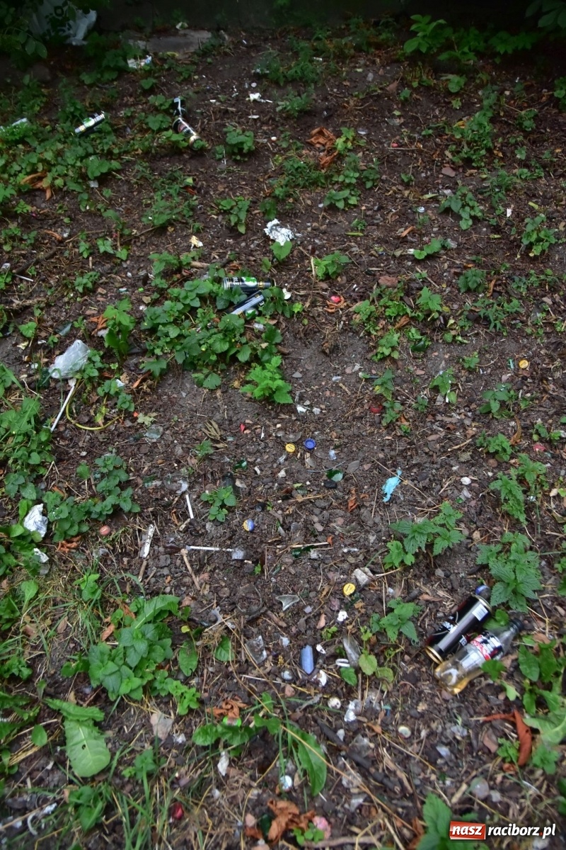 Zdjęcie w galerii na portalu naszraciborz.pl: Uwolnić bulwary dla raciborzan, czyli z butelką piwa albo wina nad Odrę? SONDA wiadomości z regionu