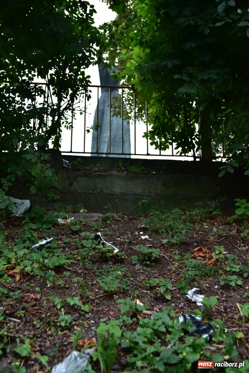 Zdjęcie w galerii na portalu naszraciborz.pl: Uwolnić bulwary dla raciborzan, czyli z butelką piwa albo wina nad Odrę? SONDA wiadomości z regionu