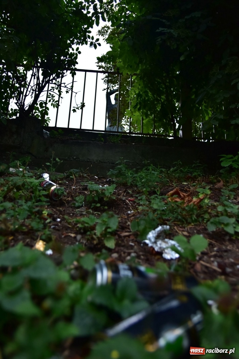 Zdjęcie w galerii na portalu naszraciborz.pl: Uwolnić bulwary dla raciborzan, czyli z butelką piwa albo wina nad Odrę? SONDA wiadomości z regionu