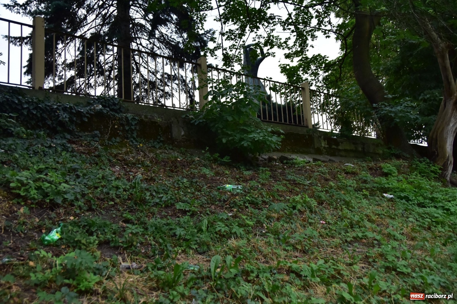 Zdjęcie w galerii na portalu naszraciborz.pl: Uwolnić bulwary dla raciborzan, czyli z butelką piwa albo wina nad Odrę? SONDA wiadomości z regionu