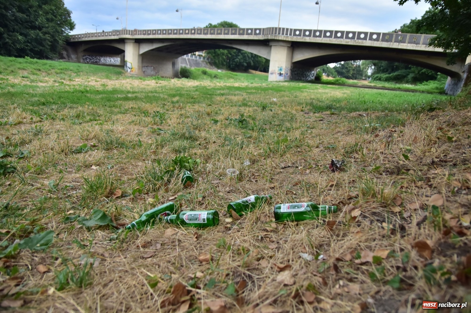 Zdjęcie w galerii na portalu naszraciborz.pl: Uwolnić bulwary dla raciborzan, czyli z butelką piwa albo wina nad Odrę? SONDA wiadomości z regionu