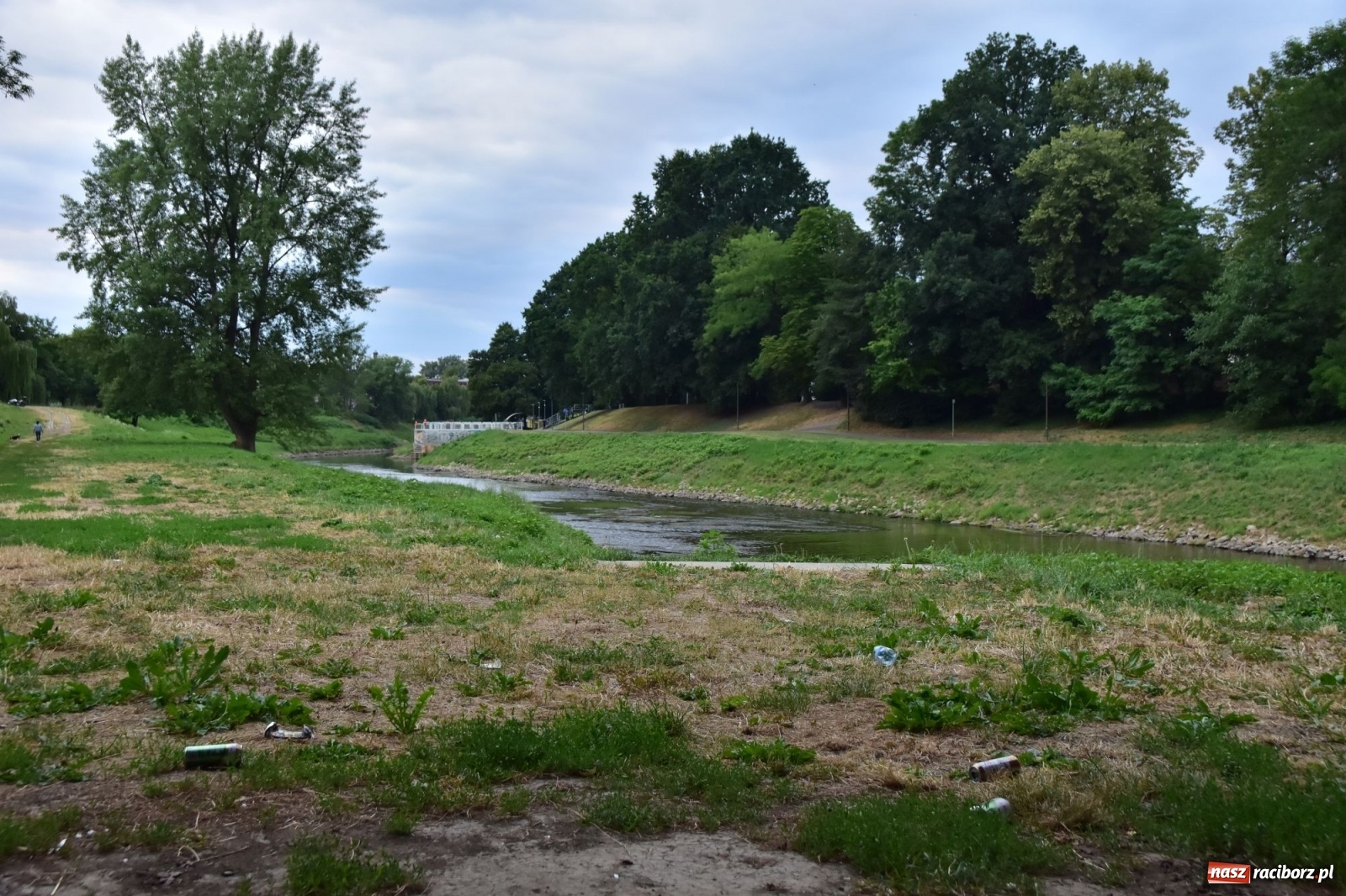 Zdjęcie w galerii na portalu naszraciborz.pl: Uwolnić bulwary dla raciborzan, czyli z butelką piwa albo wina nad Odrę? SONDA wiadomości z regionu