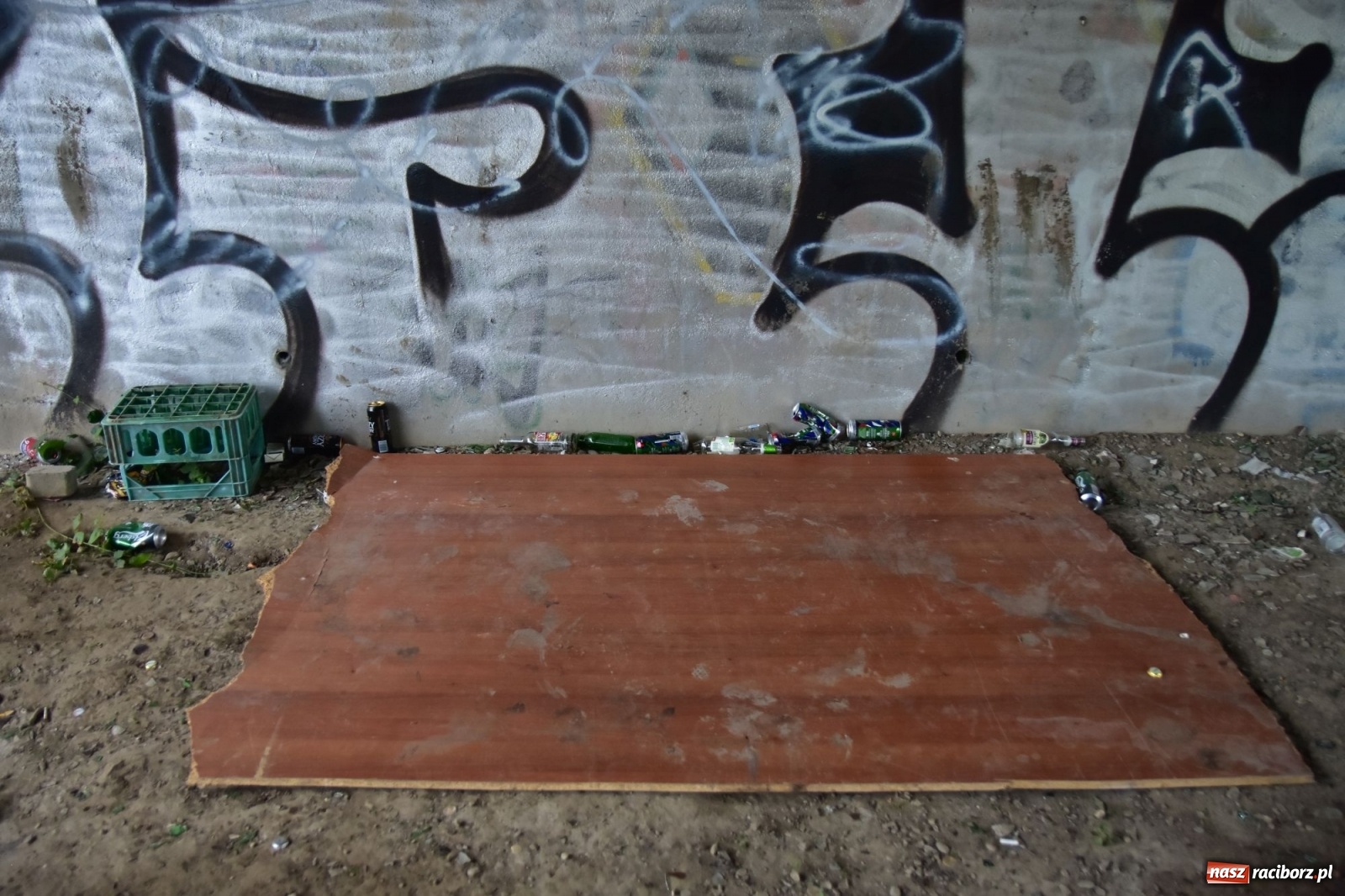 Zdjęcie w galerii na portalu naszraciborz.pl: Uwolnić bulwary dla raciborzan, czyli z butelką piwa albo wina nad Odrę? SONDA wiadomości z regionu