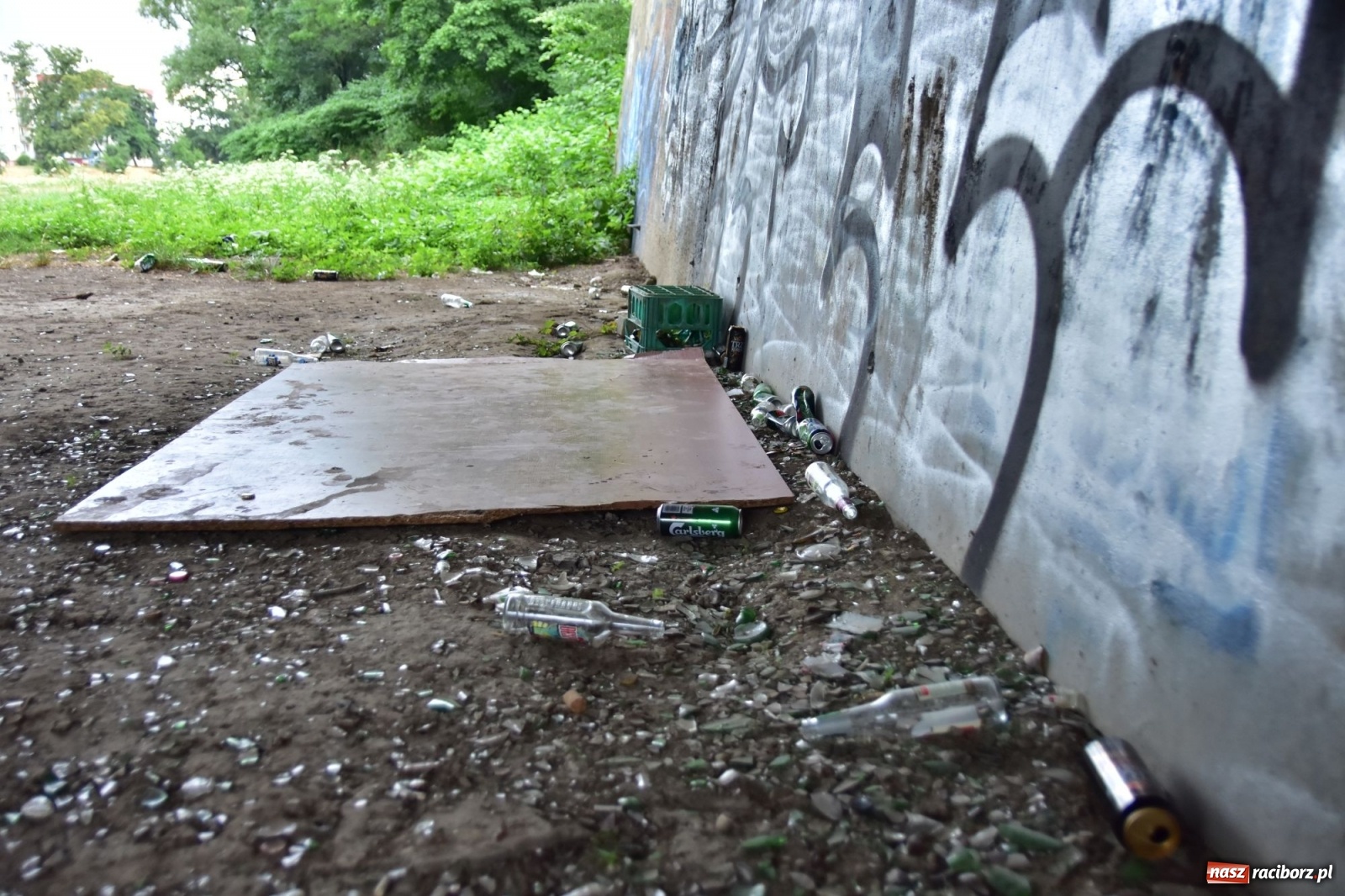 Zdjęcie w galerii na portalu naszraciborz.pl: Uwolnić bulwary dla raciborzan, czyli z butelką piwa albo wina nad Odrę? SONDA wiadomości z regionu