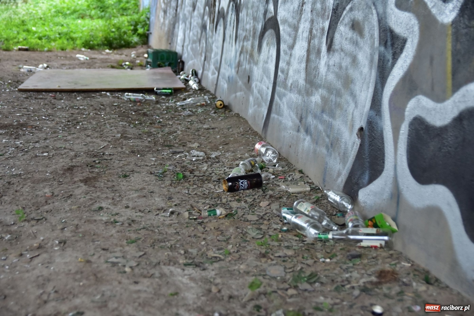 Zdjęcie w galerii na portalu naszraciborz.pl: Uwolnić bulwary dla raciborzan, czyli z butelką piwa albo wina nad Odrę? SONDA wiadomości z regionu