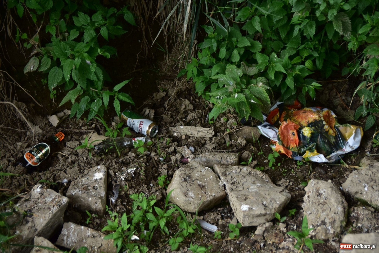 Zdjęcie w galerii na portalu naszraciborz.pl: Uwolnić bulwary dla raciborzan, czyli z butelką piwa albo wina nad Odrę? SONDA wiadomości z regionu