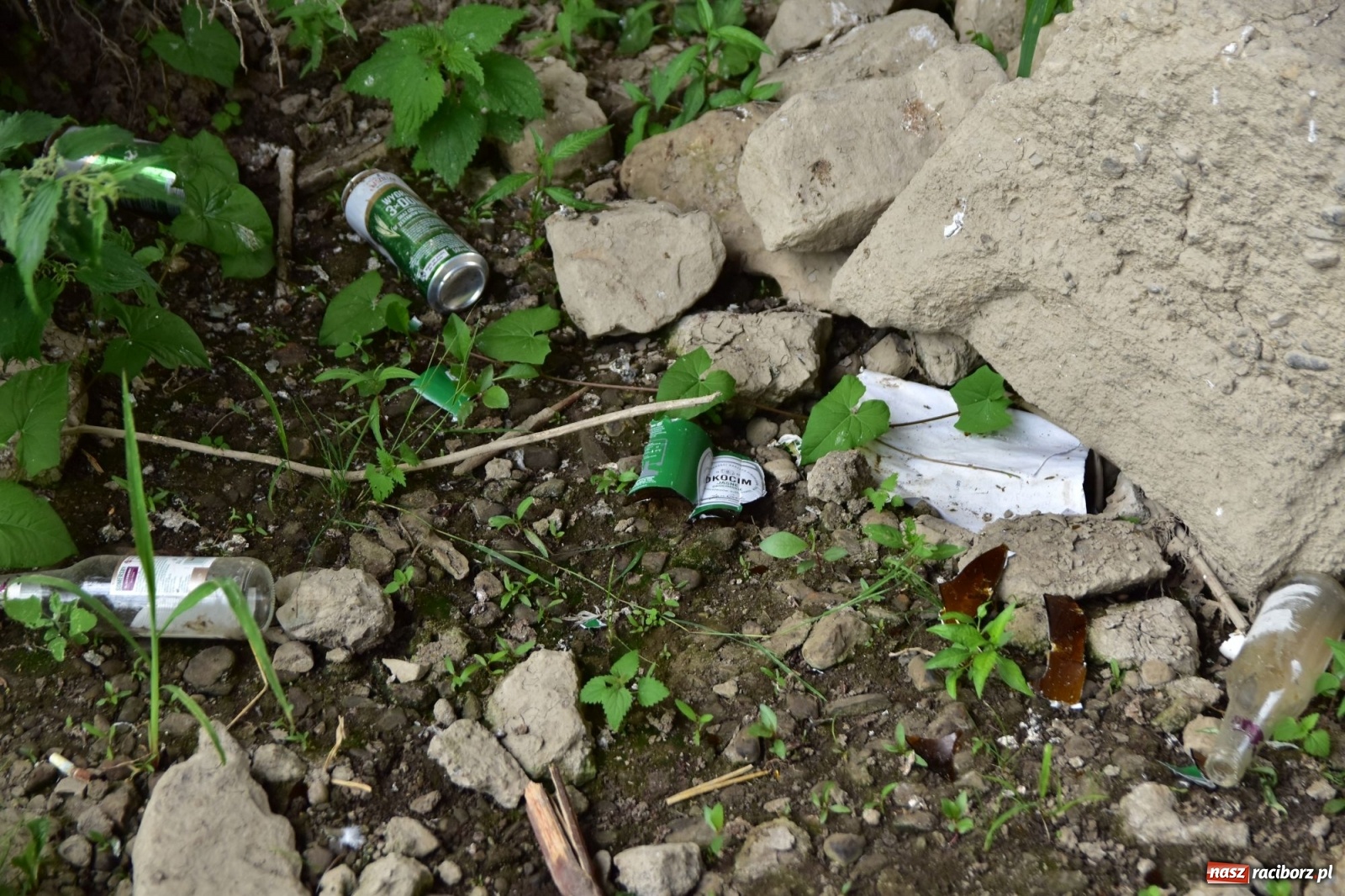 Zdjęcie w galerii na portalu naszraciborz.pl: Uwolnić bulwary dla raciborzan, czyli z butelką piwa albo wina nad Odrę? SONDA wiadomości z regionu