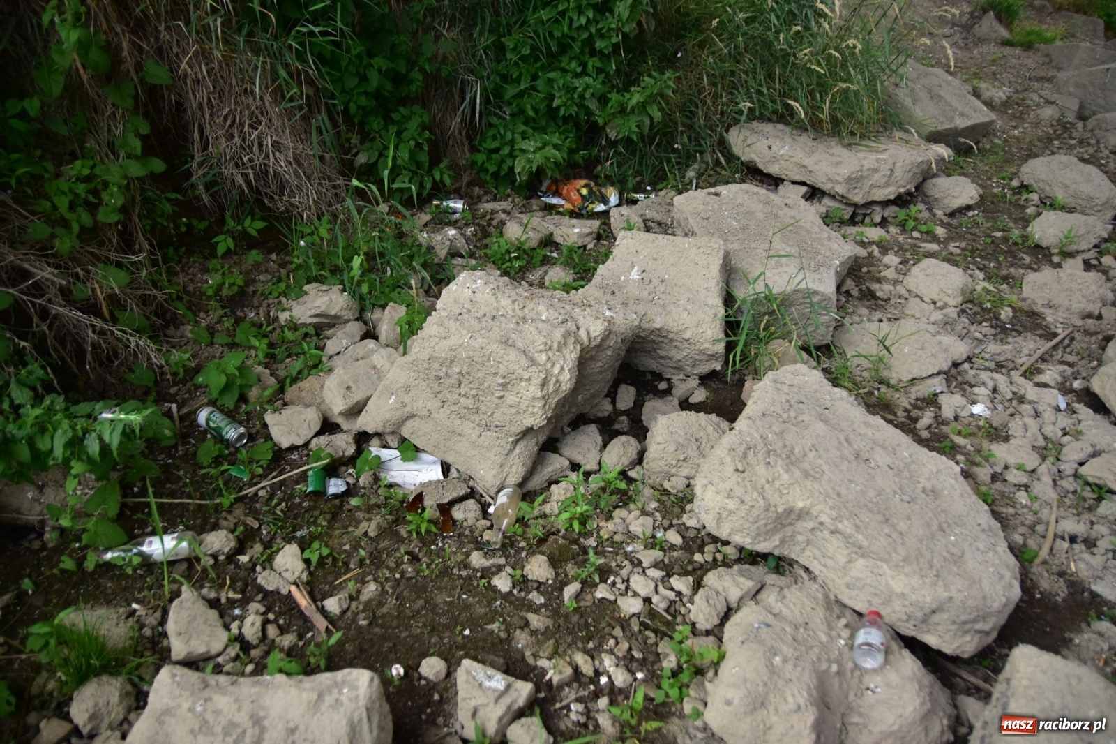 Zdjęcie w galerii na portalu naszraciborz.pl: Uwolnić bulwary dla raciborzan, czyli z butelką piwa albo wina nad Odrę? SONDA wiadomości z regionu