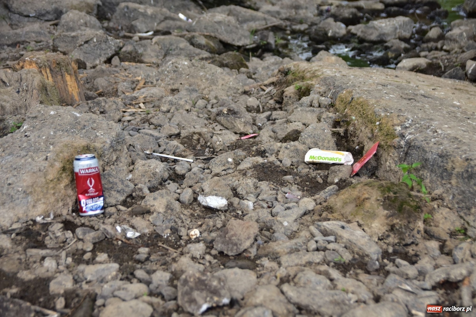 Zdjęcie w galerii na portalu naszraciborz.pl: Uwolnić bulwary dla raciborzan, czyli z butelką piwa albo wina nad Odrę? SONDA wiadomości z regionu