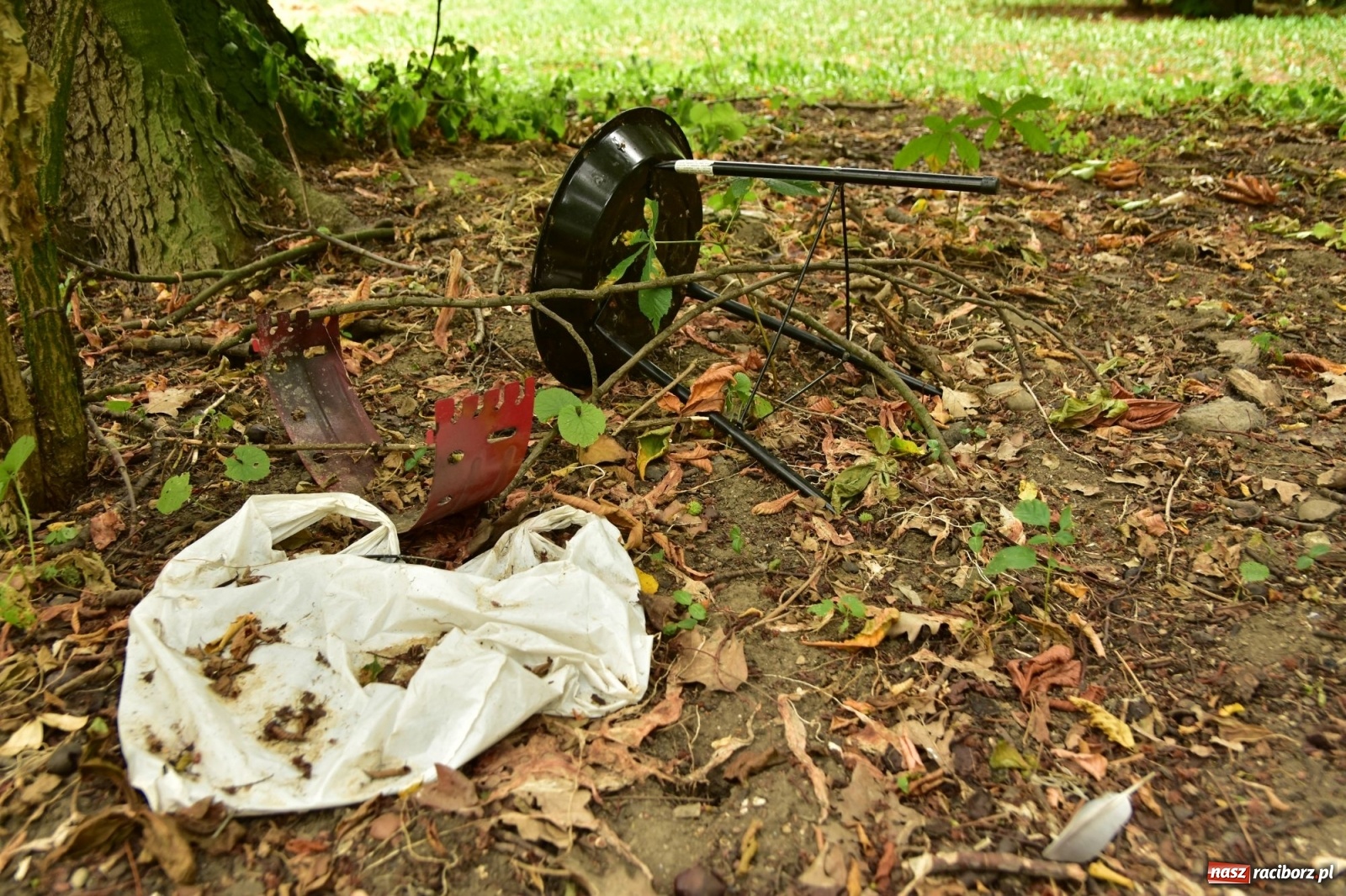 Zdjęcie w galerii na portalu naszraciborz.pl: Uwolnić bulwary dla raciborzan, czyli z butelką piwa albo wina nad Odrę? SONDA wiadomości z regionu