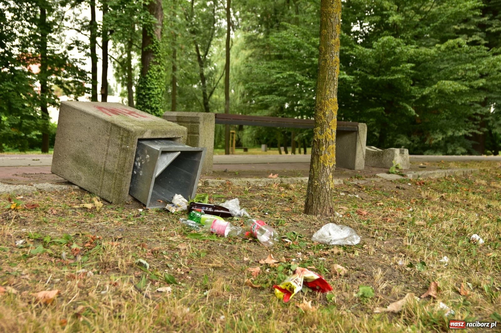 Zdjęcie w galerii na portalu naszraciborz.pl: Uwolnić bulwary dla raciborzan, czyli z butelką piwa albo wina nad Odrę? SONDA wiadomości z regionu