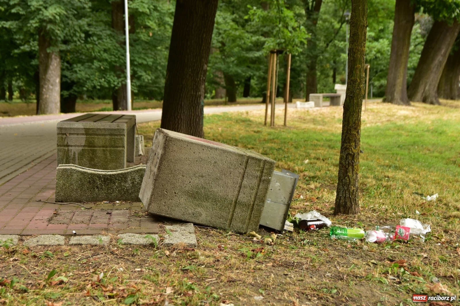 Zdjęcie w galerii na portalu naszraciborz.pl: Uwolnić bulwary dla raciborzan, czyli z butelką piwa albo wina nad Odrę? SONDA wiadomości z regionu