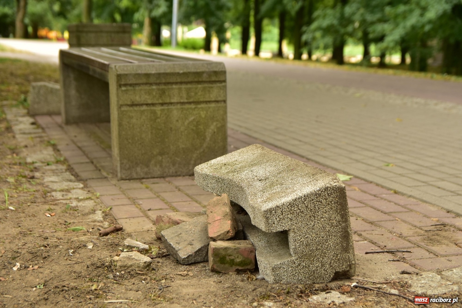 Zdjęcie w galerii na portalu naszraciborz.pl: Uwolnić bulwary dla raciborzan, czyli z butelką piwa albo wina nad Odrę? SONDA wiadomości z regionu