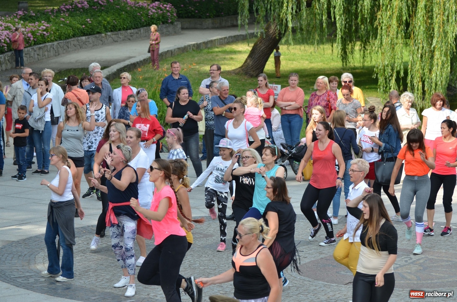Zdjęcie w galerii na portalu naszraciborz.pl: Wakacyjne Latino Dance w parku m. Roth  wiadomości z regionu