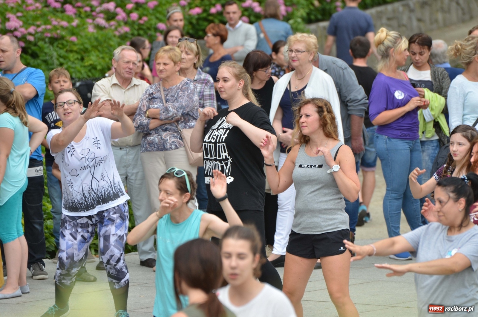 Zdjęcie w galerii na portalu naszraciborz.pl: Wakacyjne Latino Dance w parku m. Roth  wiadomości z regionu