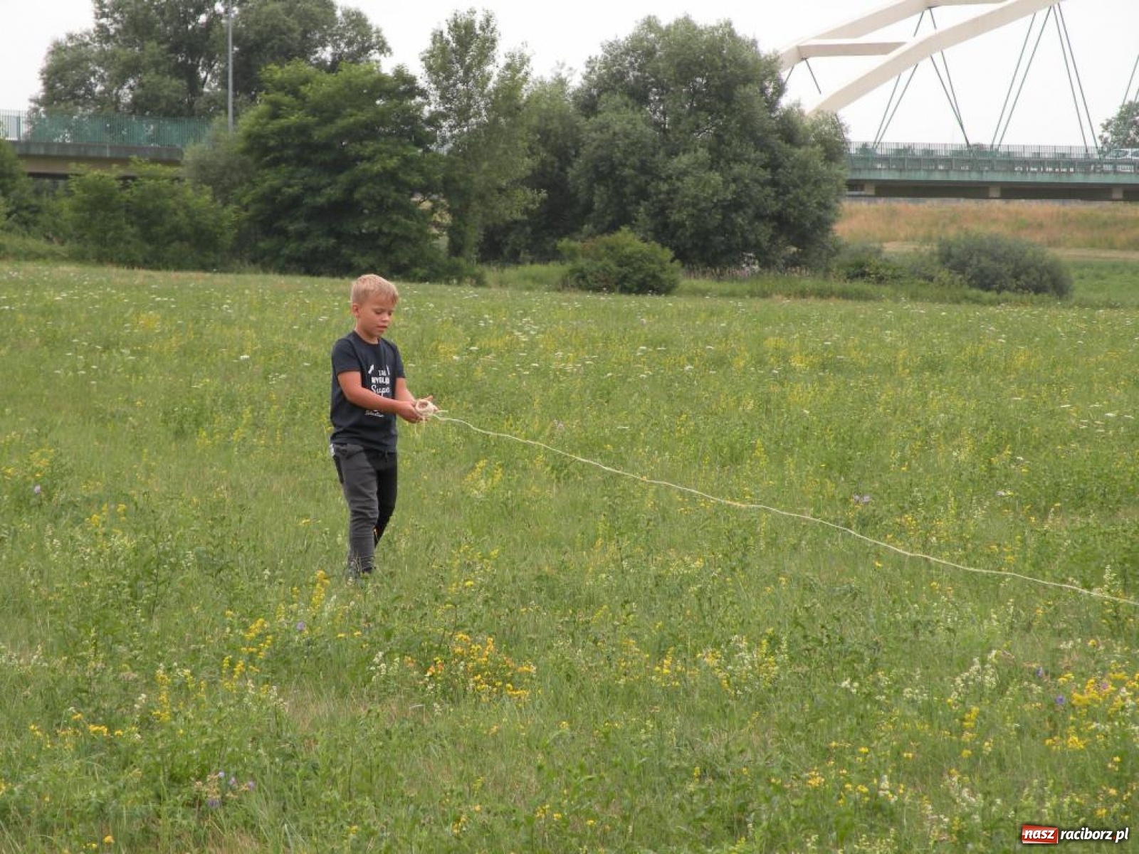 Zdjęcie w galerii na portalu naszraciborz.pl: Warsztaty budowania latawców w RCK [FOTO] wiadomości z regionu