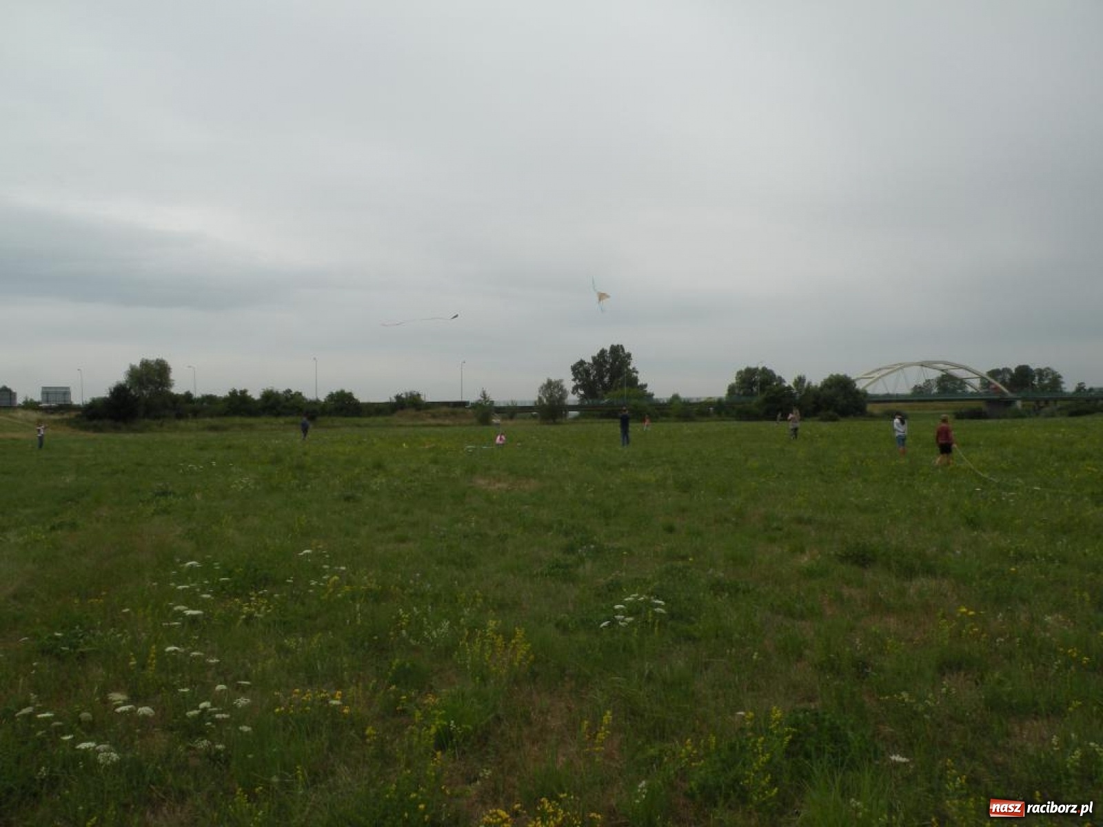 Zdjęcie w galerii na portalu naszraciborz.pl: Warsztaty budowania latawców w RCK [FOTO] wiadomości z regionu
