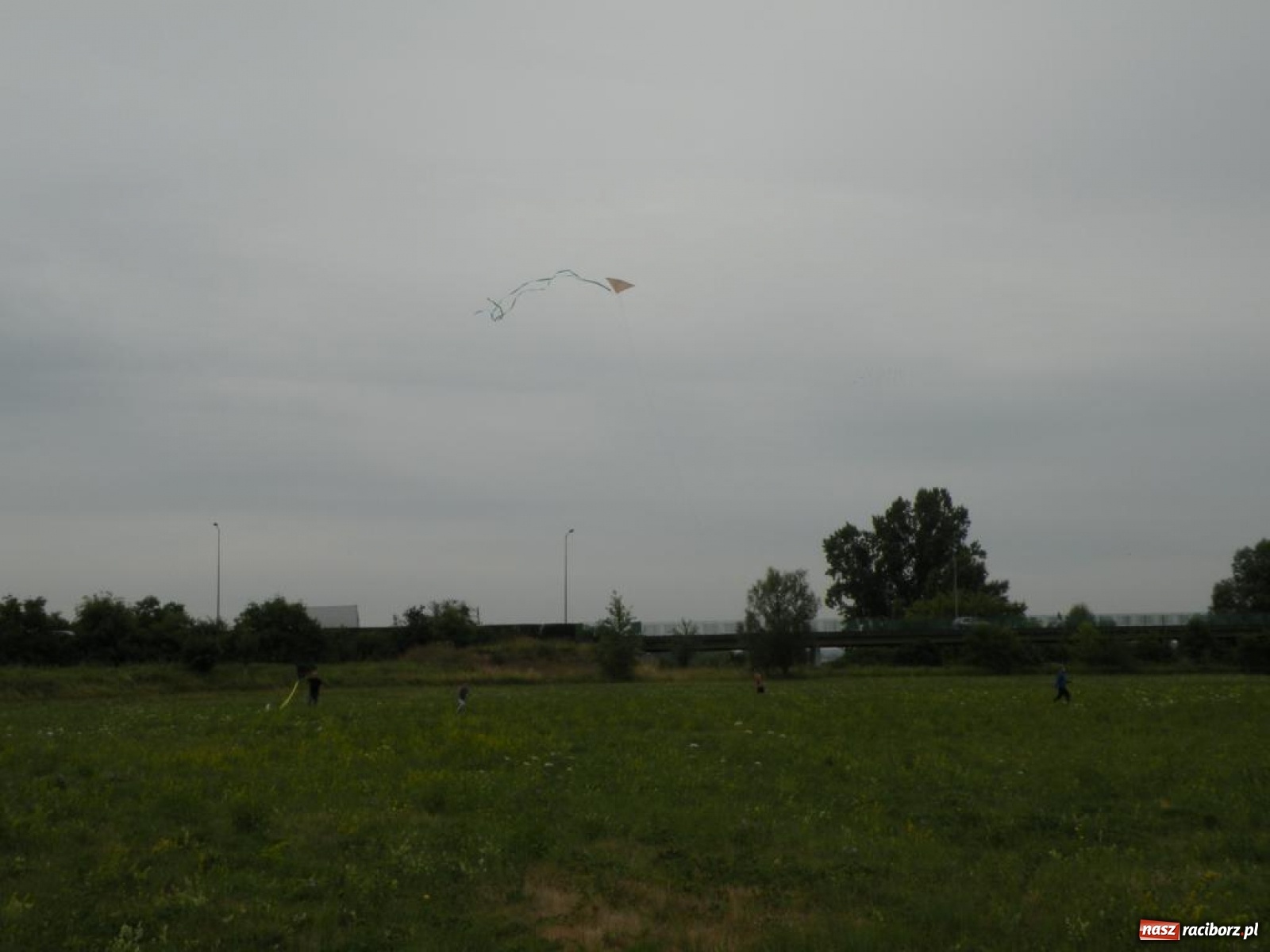 Zdjęcie w galerii na portalu naszraciborz.pl: Warsztaty budowania latawców w RCK [FOTO] wiadomości z regionu