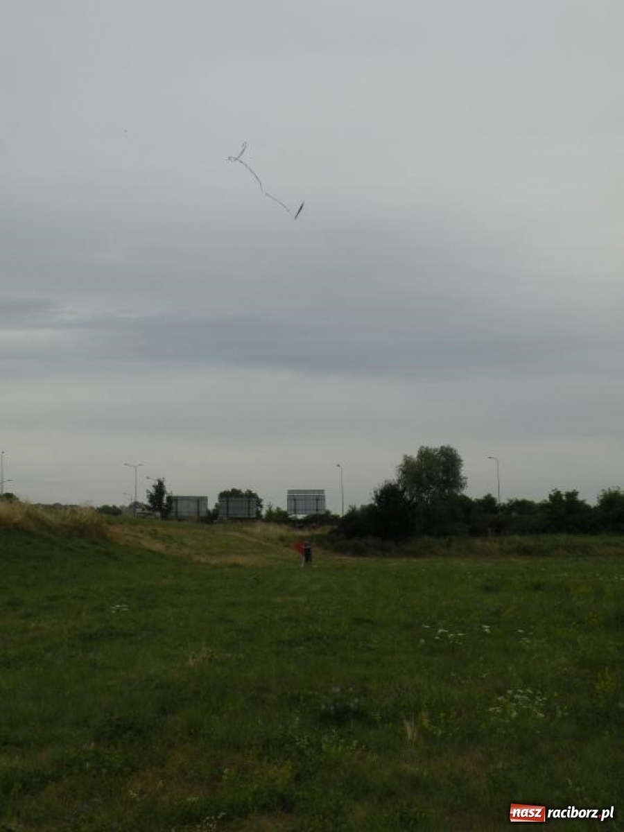 Zdjęcie w galerii na portalu naszraciborz.pl: Warsztaty budowania latawców w RCK [FOTO] wiadomości z regionu