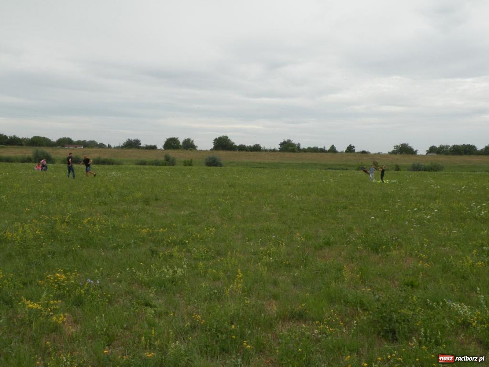Zdjęcie w galerii na portalu naszraciborz.pl: Warsztaty budowania latawców w RCK [FOTO] wiadomości z regionu