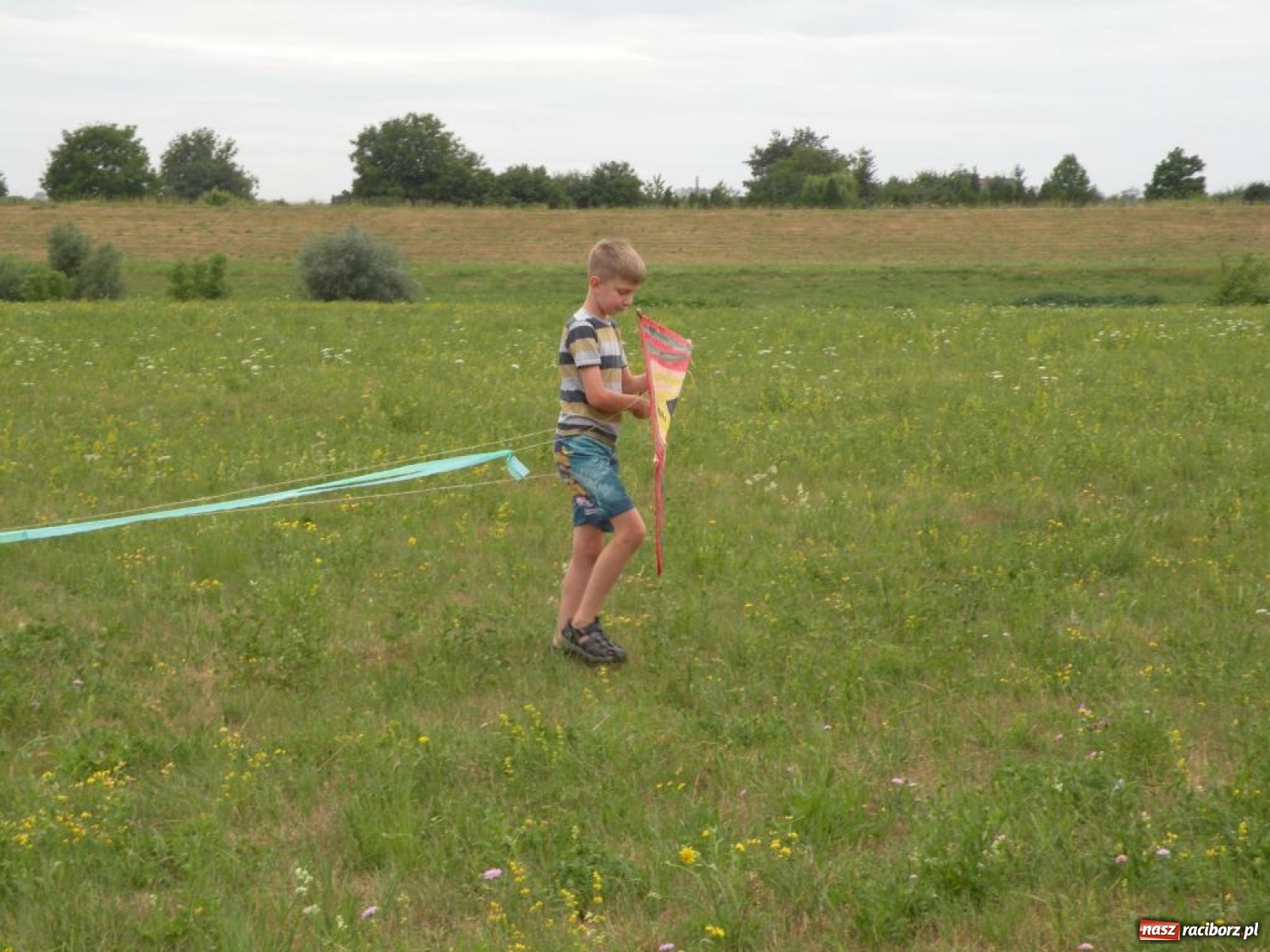 Zdjęcie w galerii na portalu naszraciborz.pl: Warsztaty budowania latawców w RCK [FOTO] wiadomości z regionu