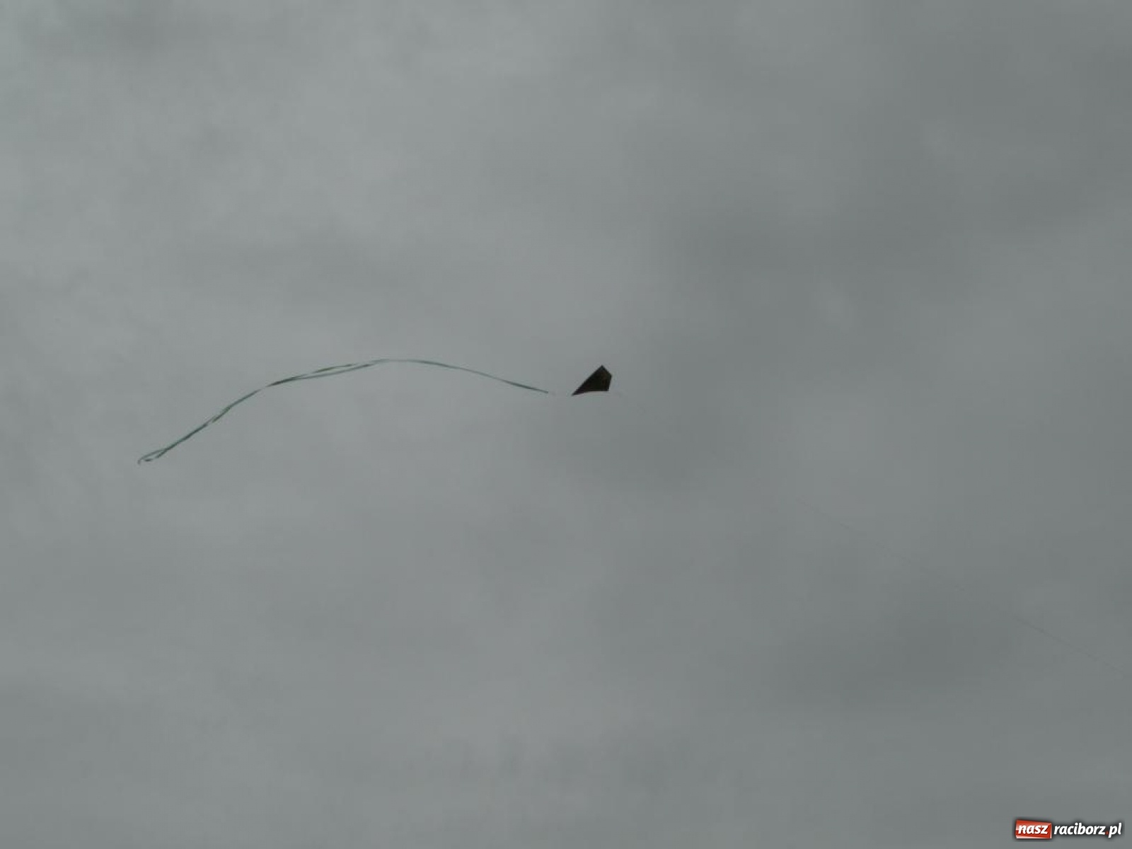 Zdjęcie w galerii na portalu naszraciborz.pl: Warsztaty budowania latawców w RCK [FOTO] wiadomości z regionu