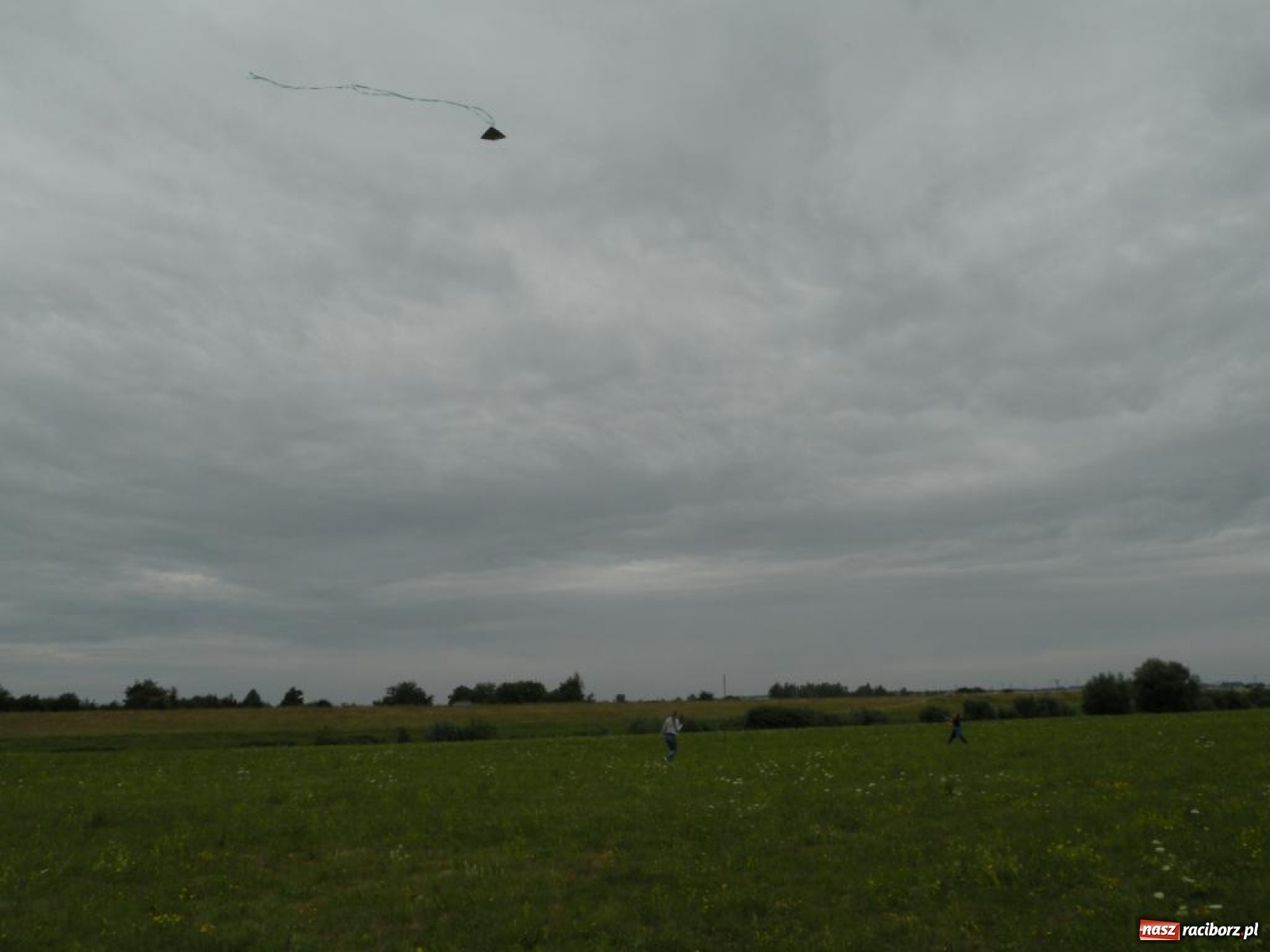 Zdjęcie w galerii na portalu naszraciborz.pl: Warsztaty budowania latawców w RCK [FOTO] wiadomości z regionu