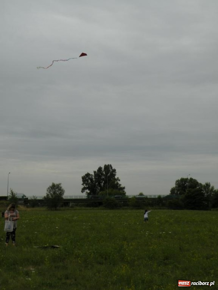 Zdjęcie w galerii na portalu naszraciborz.pl: Warsztaty budowania latawców w RCK [FOTO] wiadomości z regionu