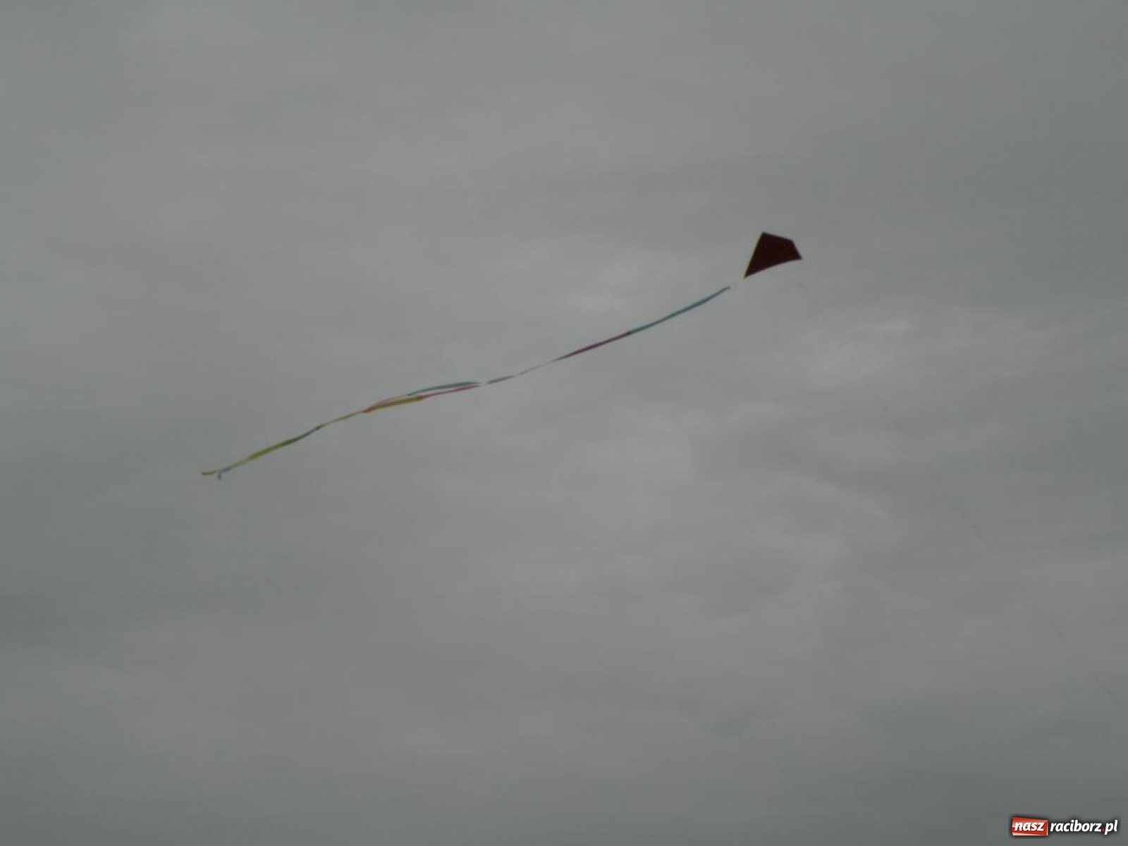 Zdjęcie w galerii na portalu naszraciborz.pl: Warsztaty budowania latawców w RCK [FOTO] wiadomości z regionu