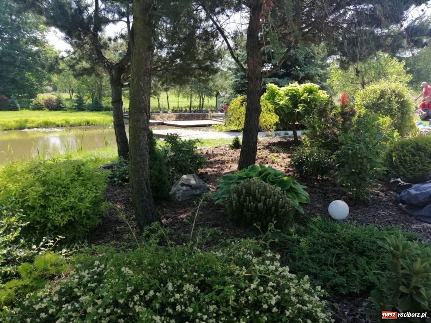 Zdjęcie w galerii na portalu naszraciborz.pl: Młodzież Budowlanki i Gastronomika na kursach i warsztatach wiadomości z regionu