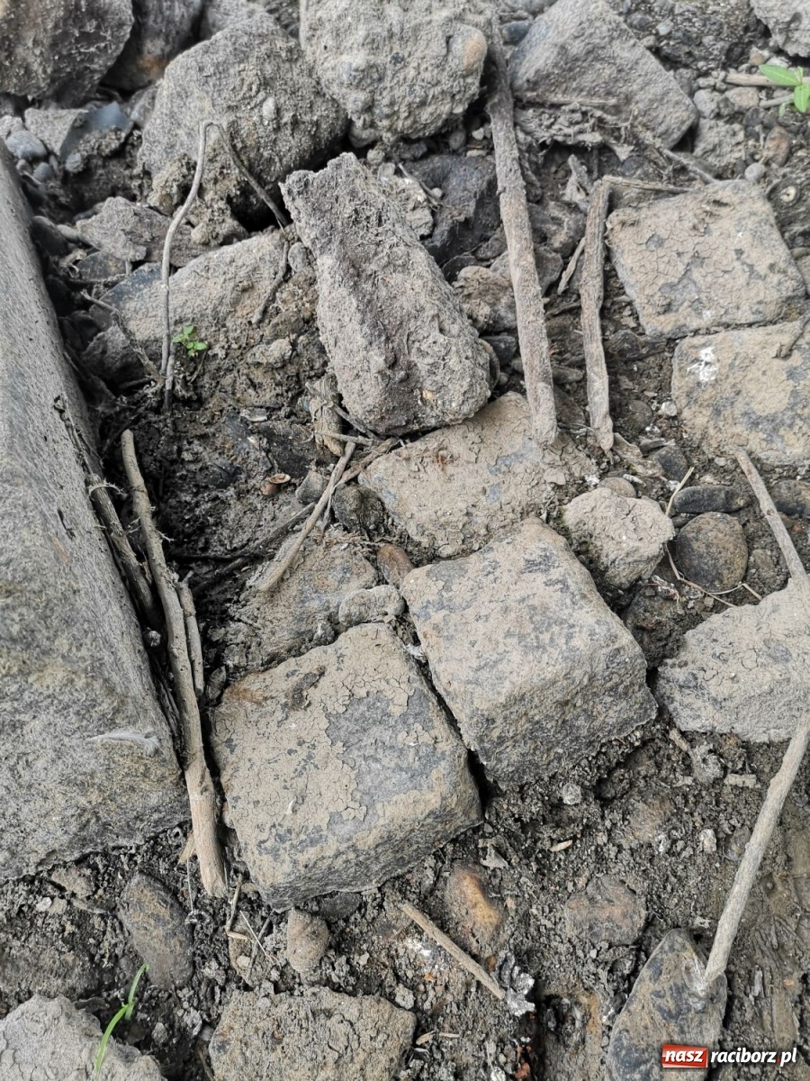 Zdjęcie w galerii na portalu naszraciborz.pl: Odra odsłania dno. Jakie skarby kryje rzeka? Czy znajdzie się tajemne przejście z zamku do klasztoru dominikanek? wiadomości z regionu